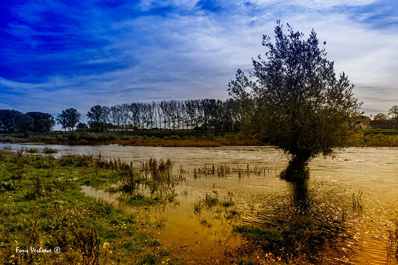 Langs de Maas in Meers.