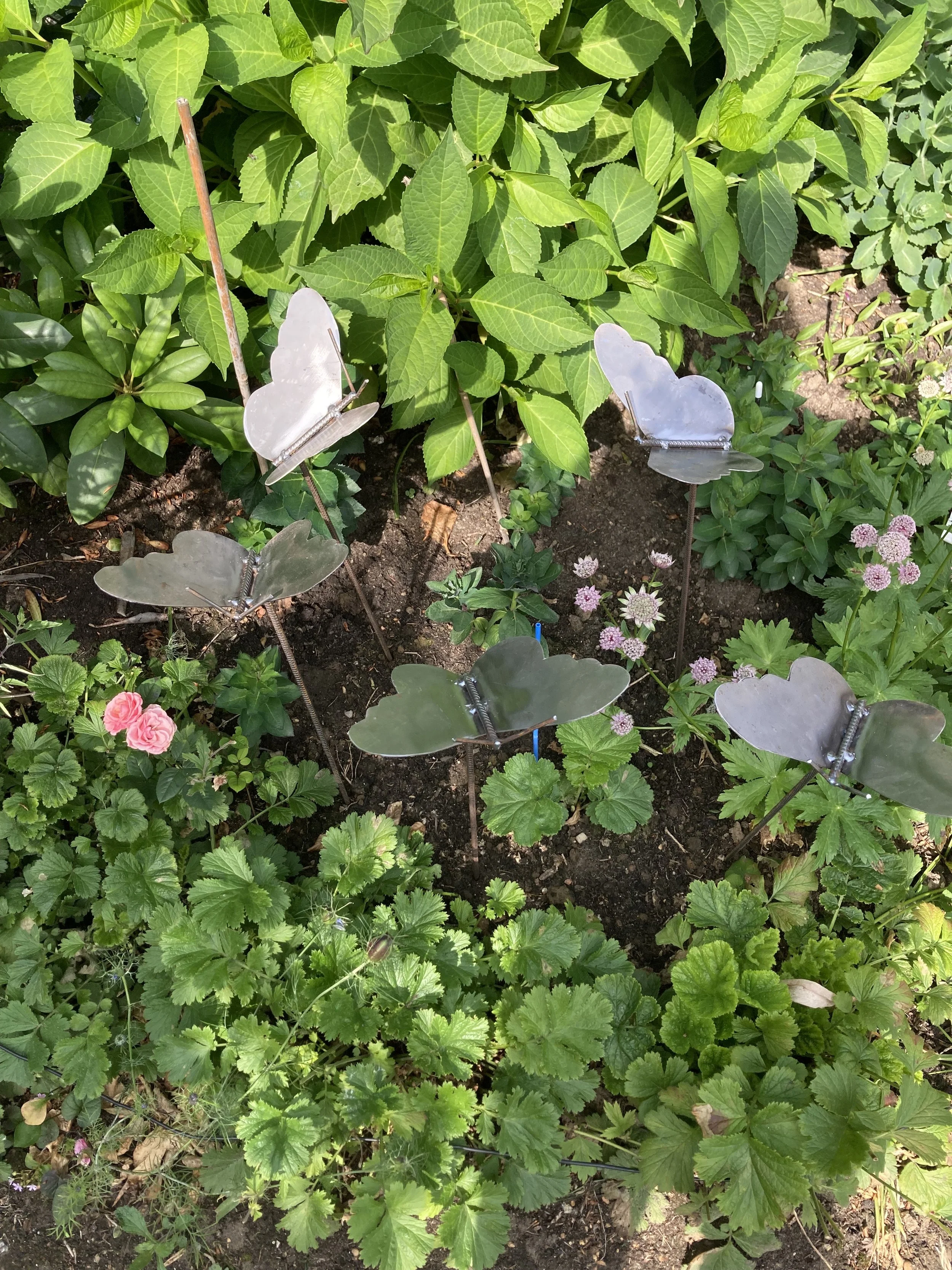 Vlinder voor de tuin