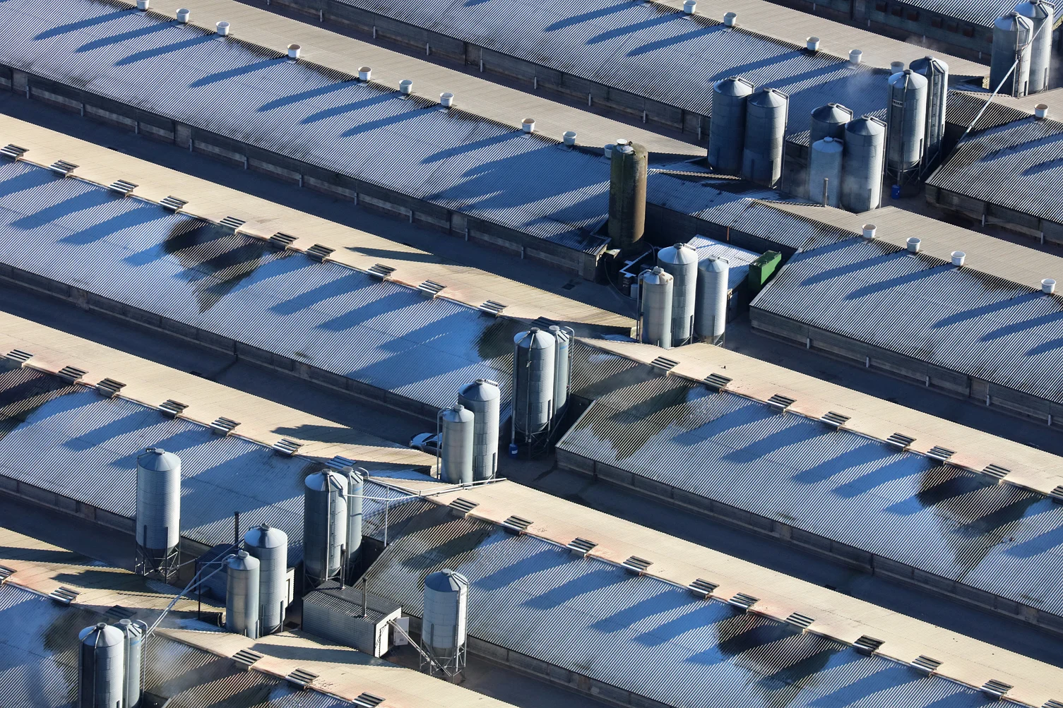 Industrial poultry farm