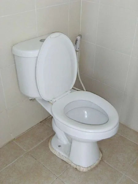 A western toilet. I’m sure you’re familiar with these but there aren’t too many pictures in the latter half of this story so I figured why not.