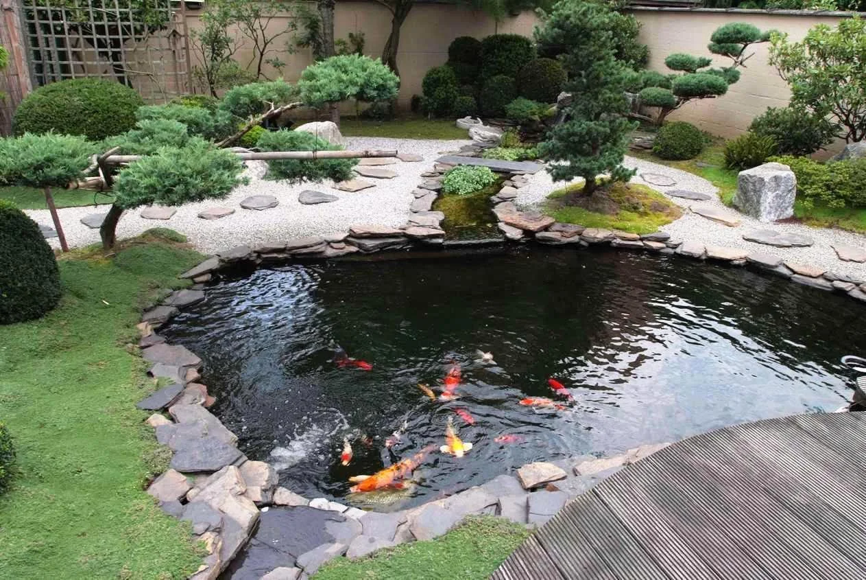 Koi pond. This one is much fancier than the one in the book.