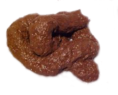 Poop - clean.png