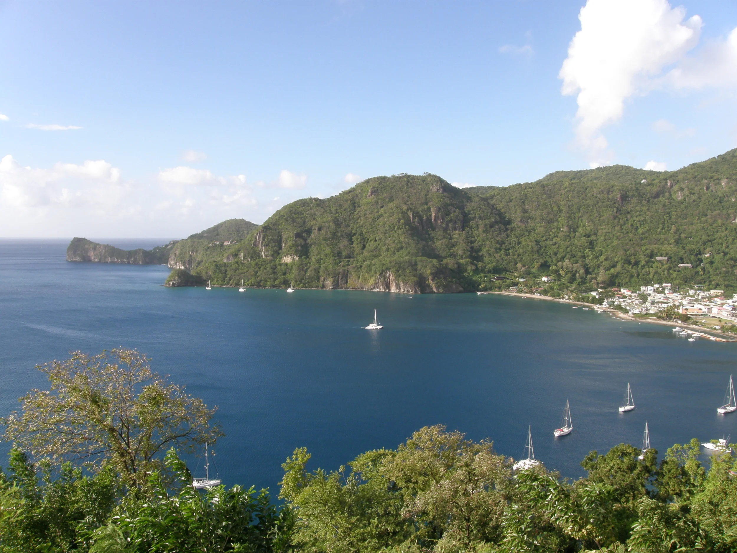 NP1100041 - Copy.JPG