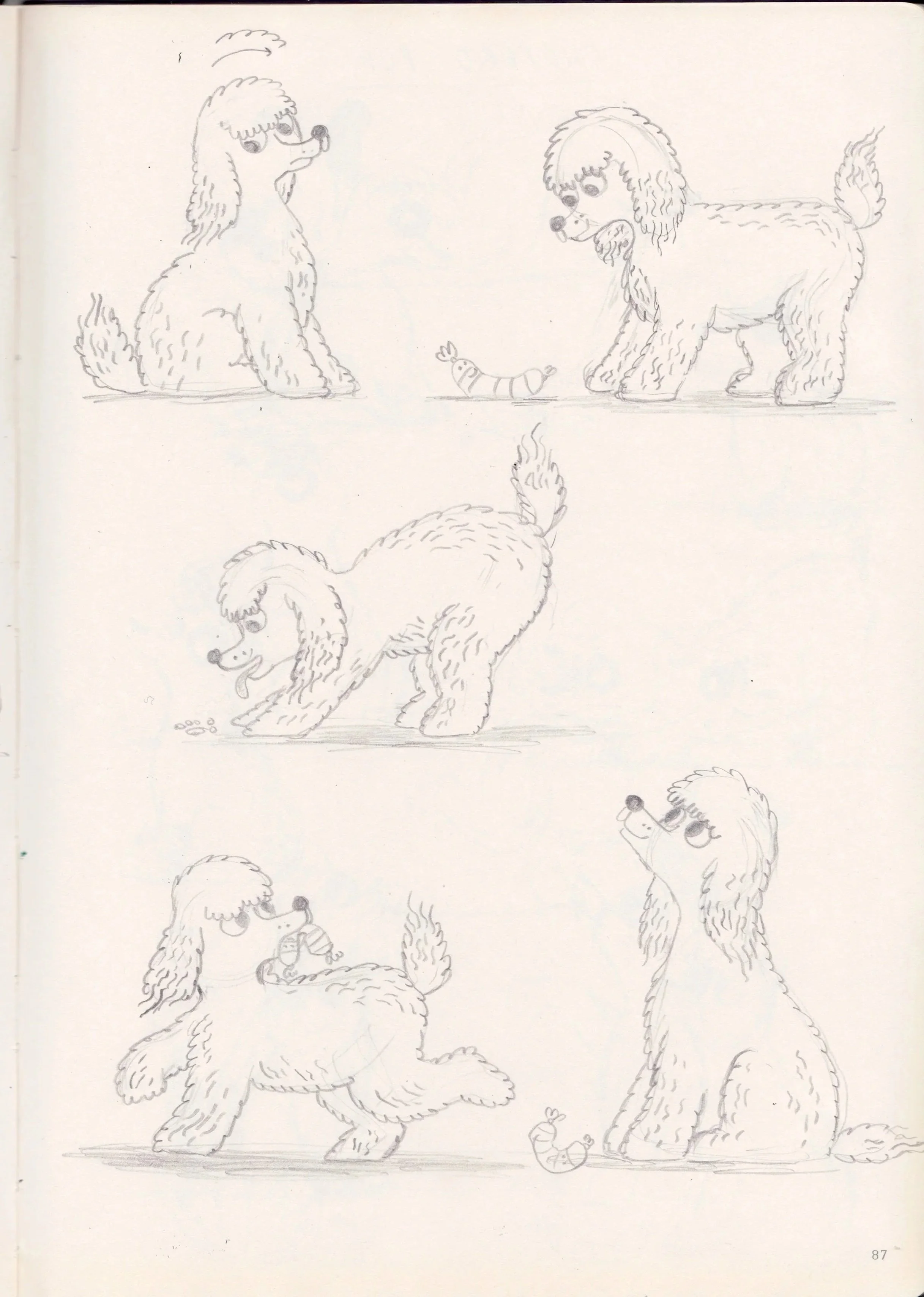 Book%2B5%2B-%2BPuppy%2Bskecthes%2B-%2BPoodle%2Bpage%2B6.jpg