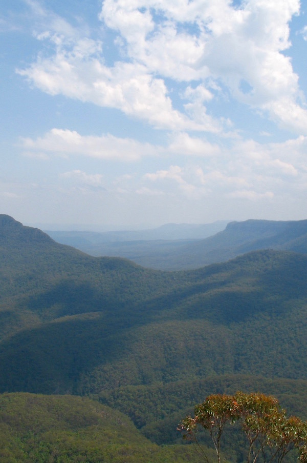 Blue Mountains- Vista 2.jpg