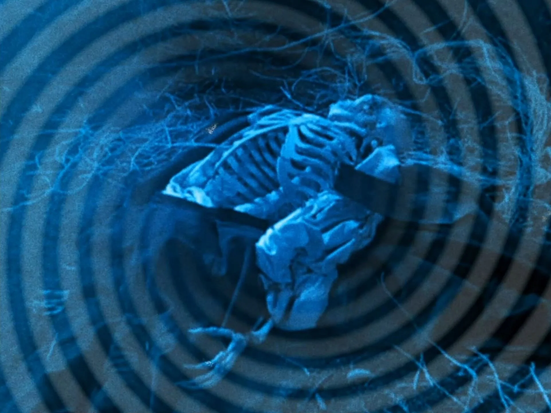  A misshapen sentinel who threatens from such a distance.   A cadaver.   Macabre.   I used to know you—a bed made of parts.   Only glimpses now.   Just flashes.   Degenerate.    