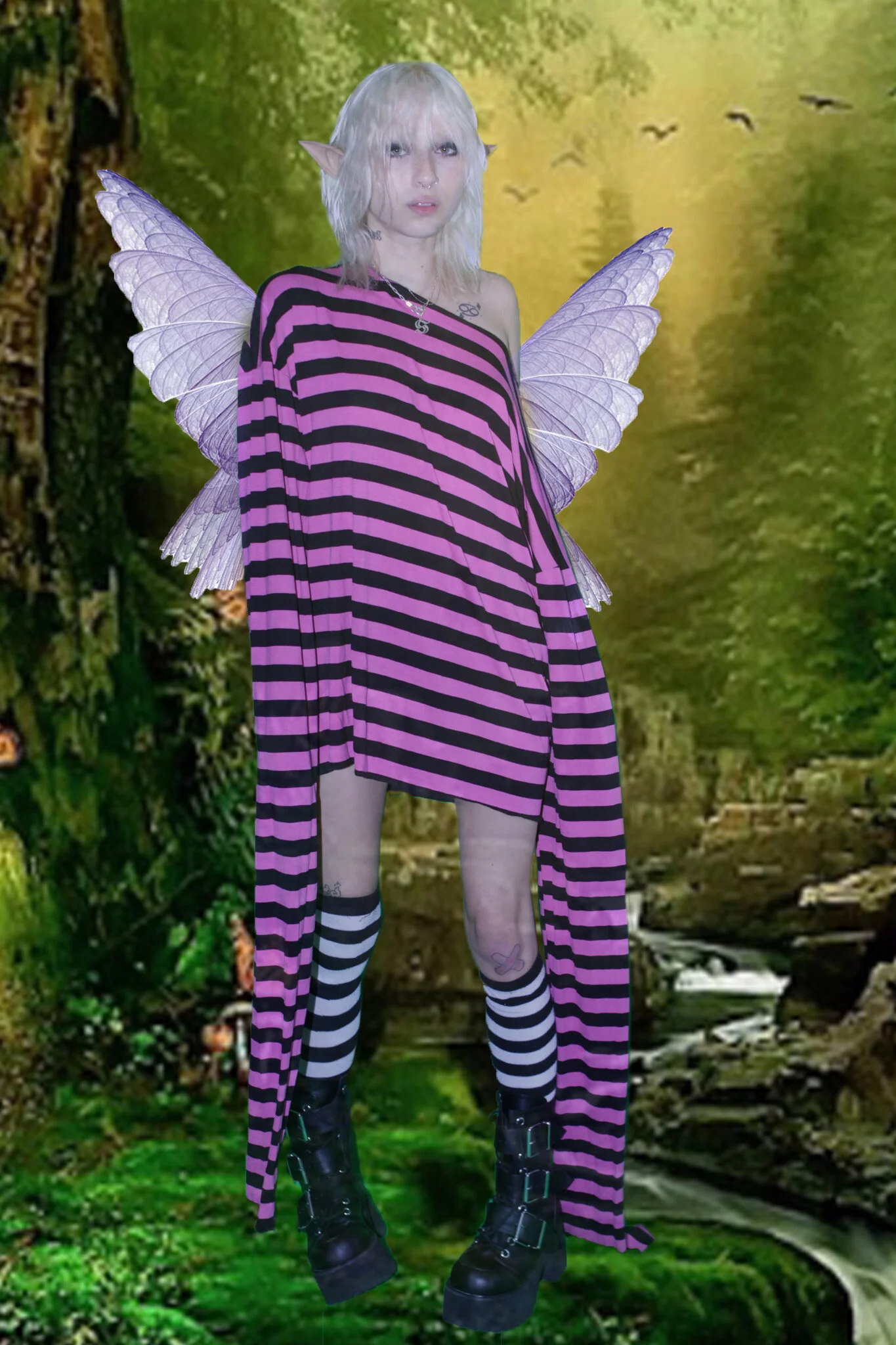 soph failrr y1 .jpg