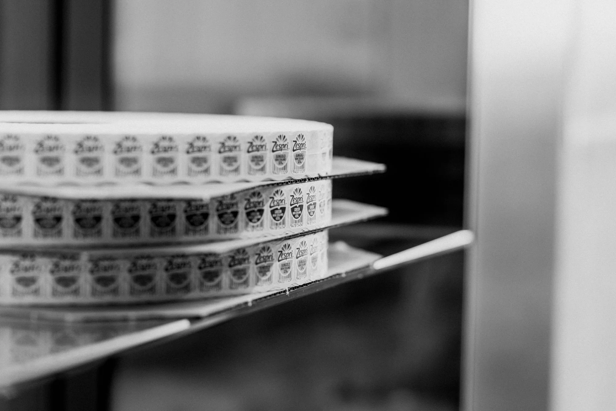 005_Jenkins_Details_250A5218.jpg