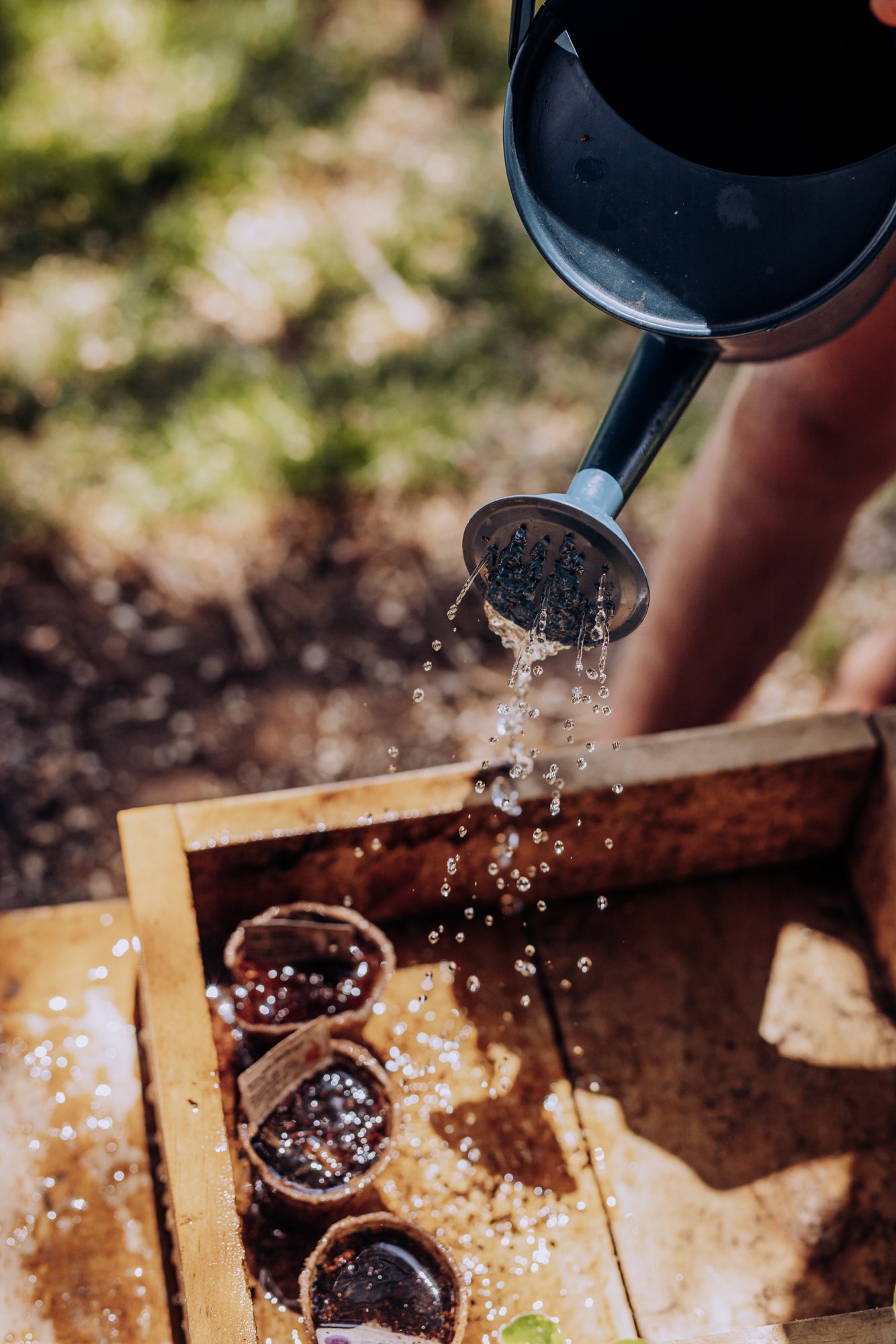 250A9625.jpg