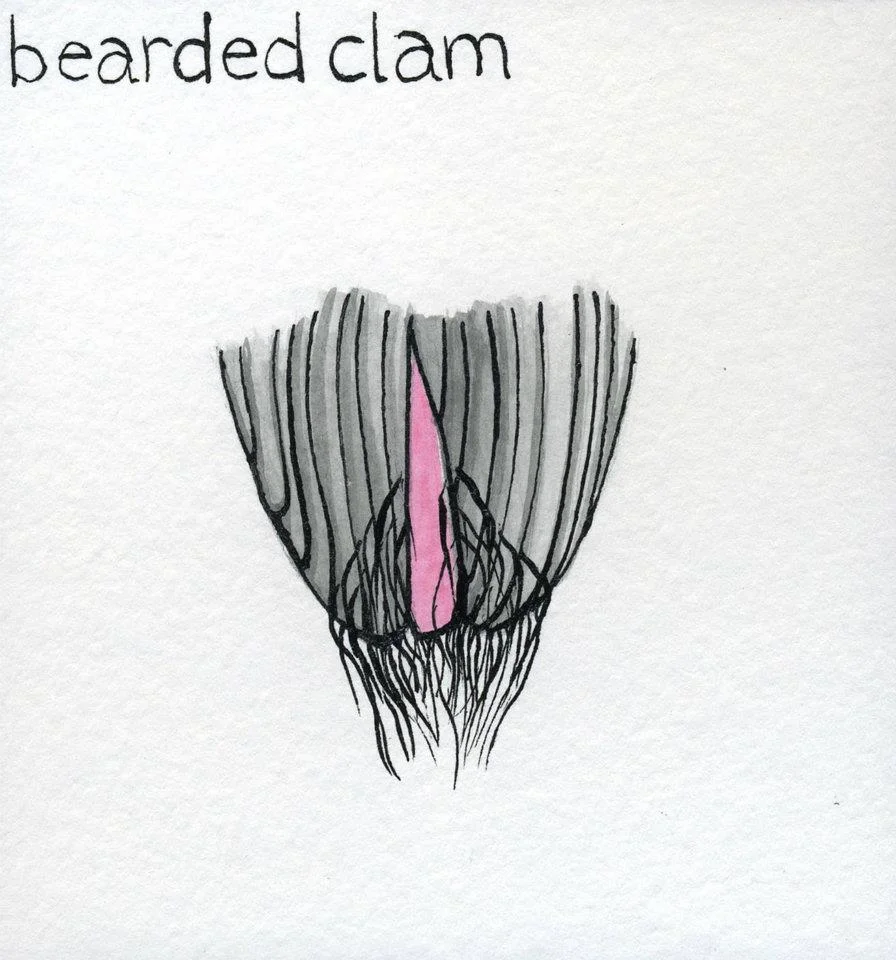 from the series 99 synonyms for vagina