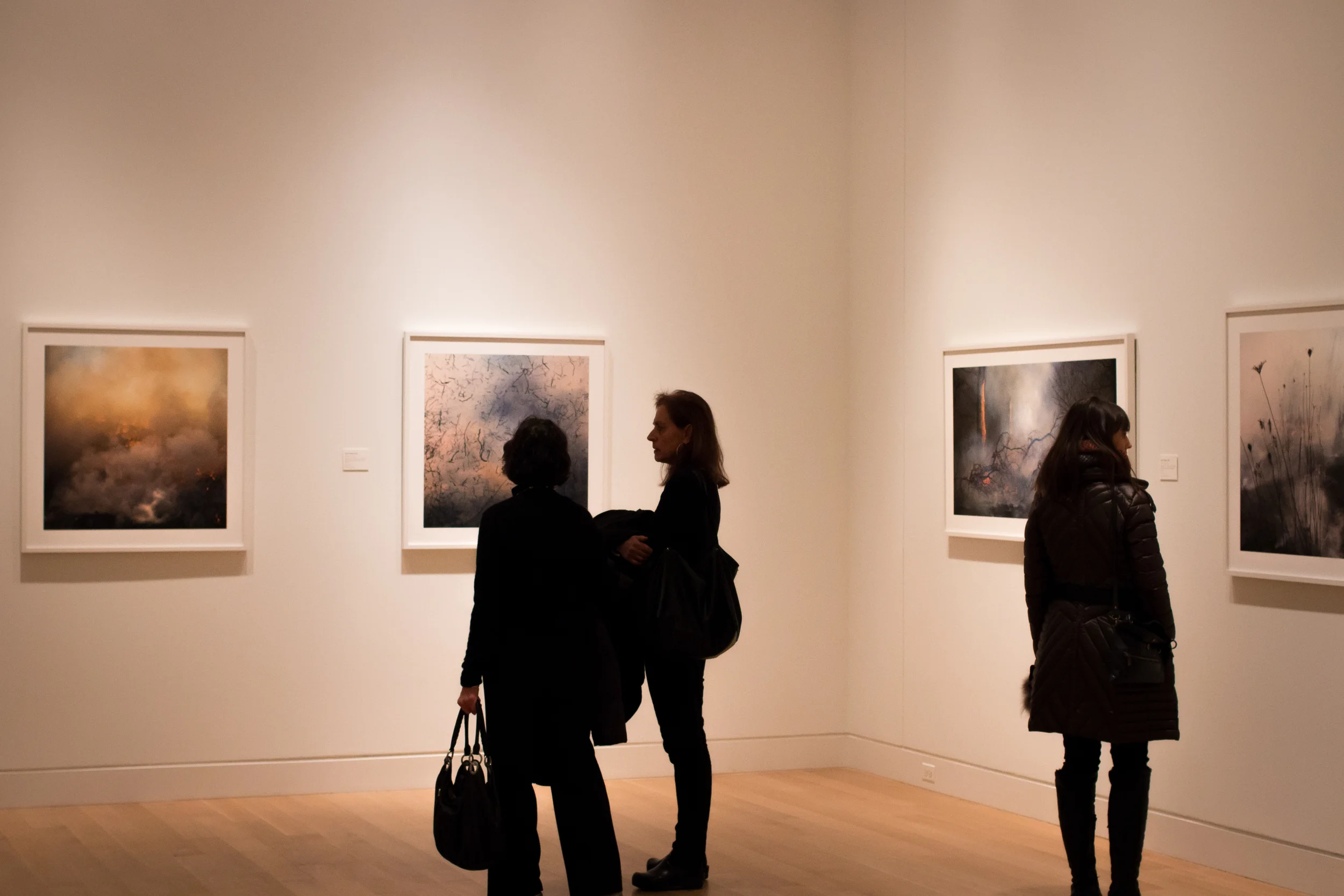 Siri Elena Photography Rooted in Soil Opening.jpg