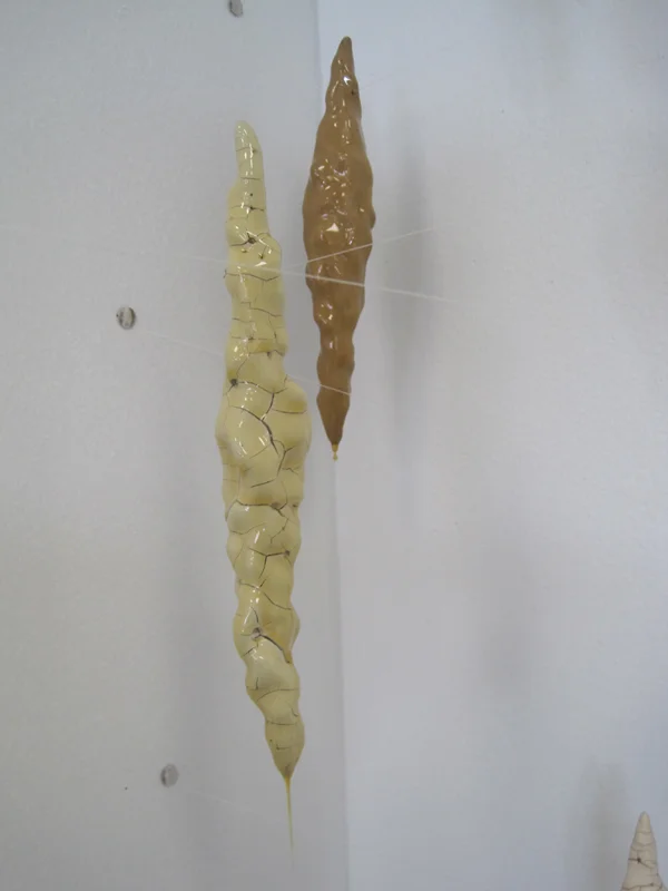 detail of a beautiful collection