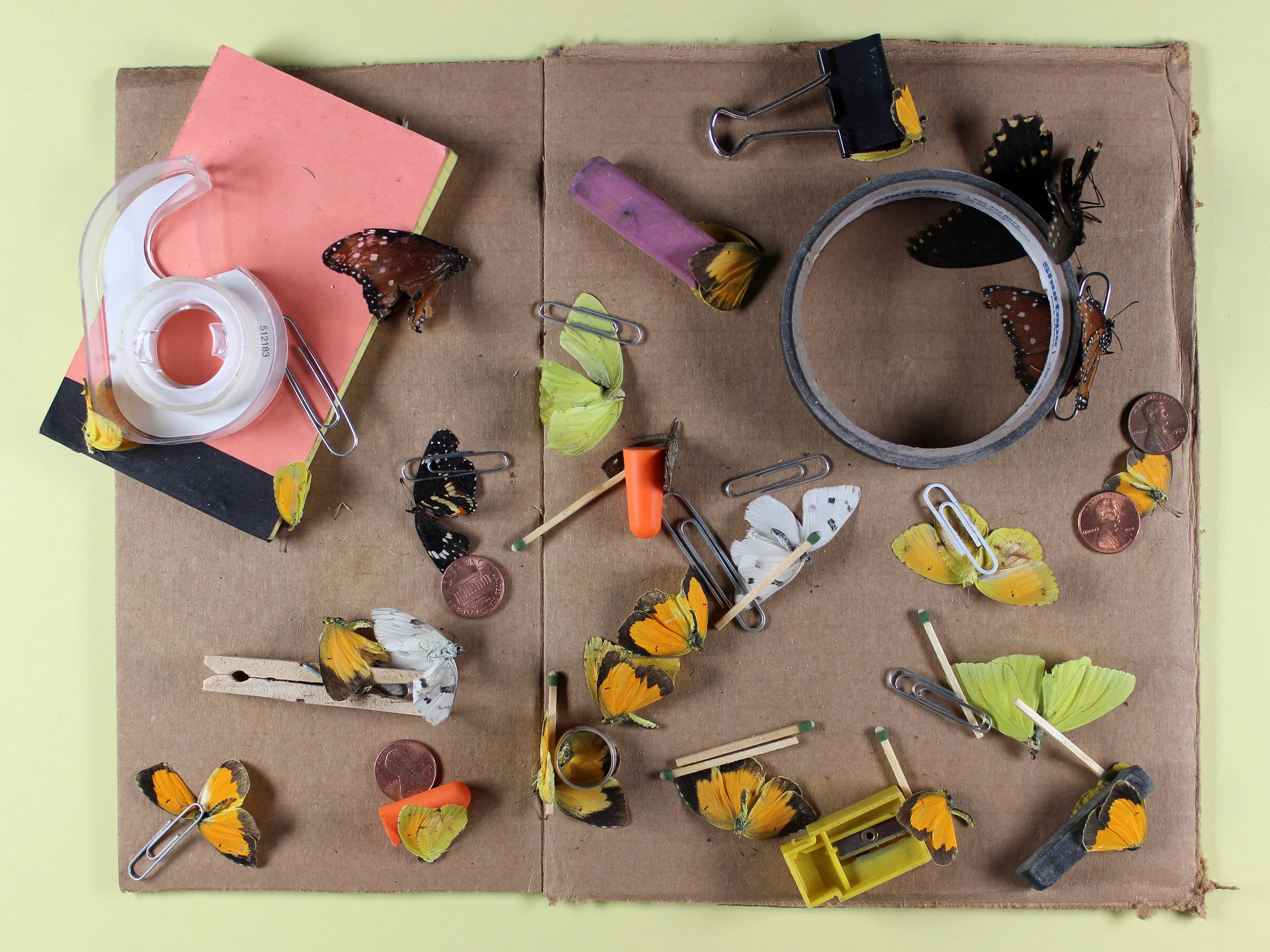 preparation of collection
