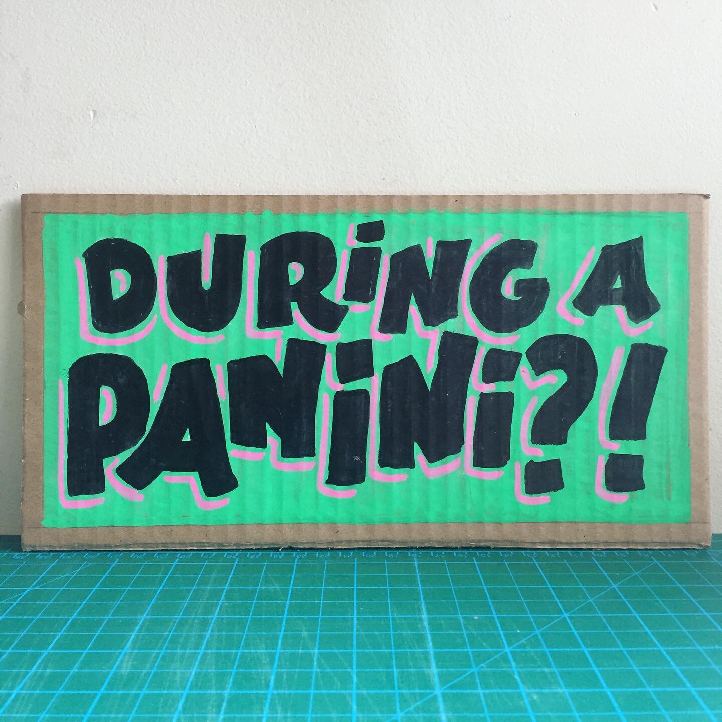 This is the &ldquo;During A Panny?!&rdquo; Series : a bunch of alternatives for when you&rsquo;re sick of saying the word pandemic but still need to question someone&rsquo;s behavior during this... panini. 

Created using cardboard and paint markers
