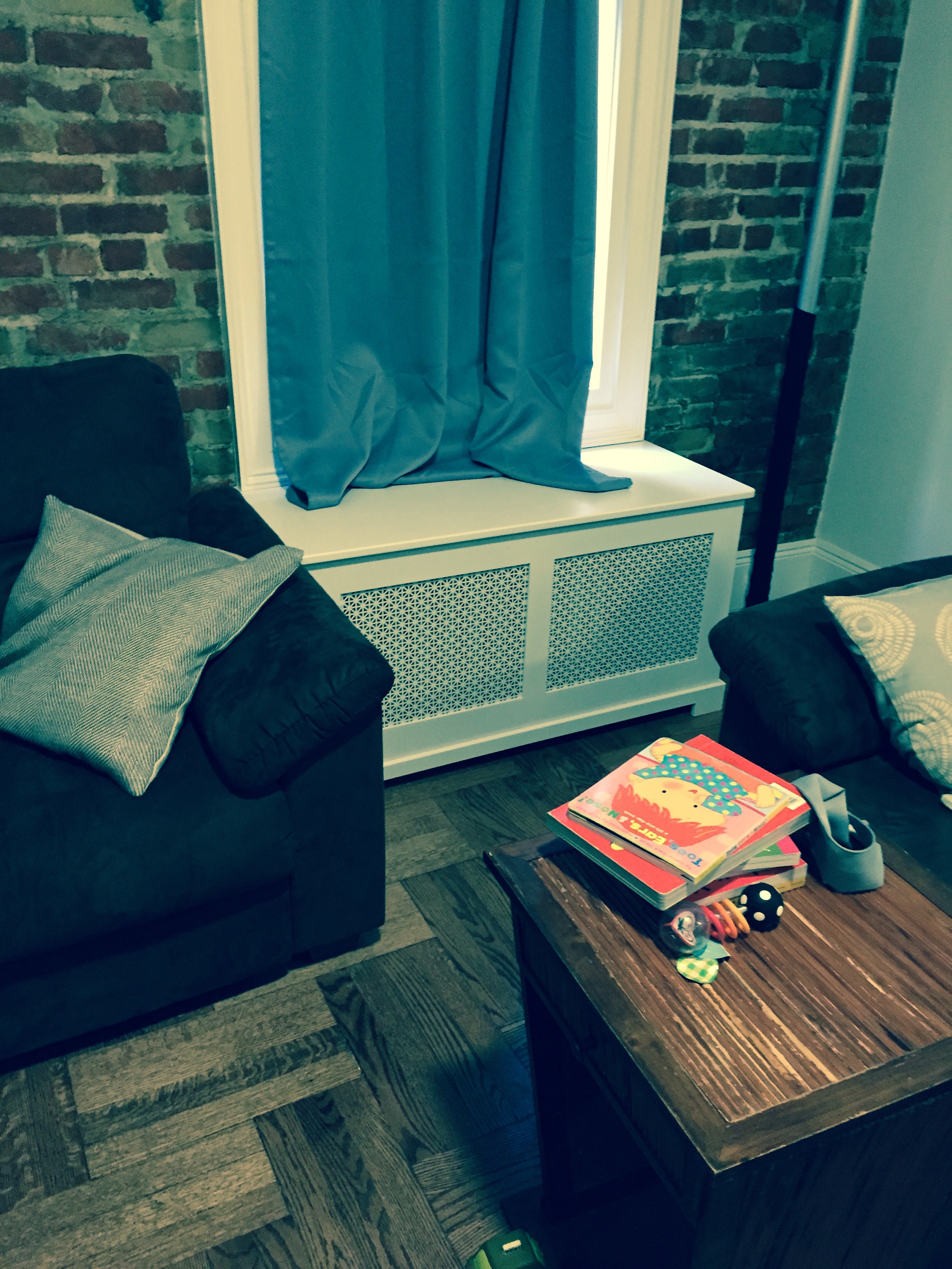 CS Radiator Cover.2.JPG