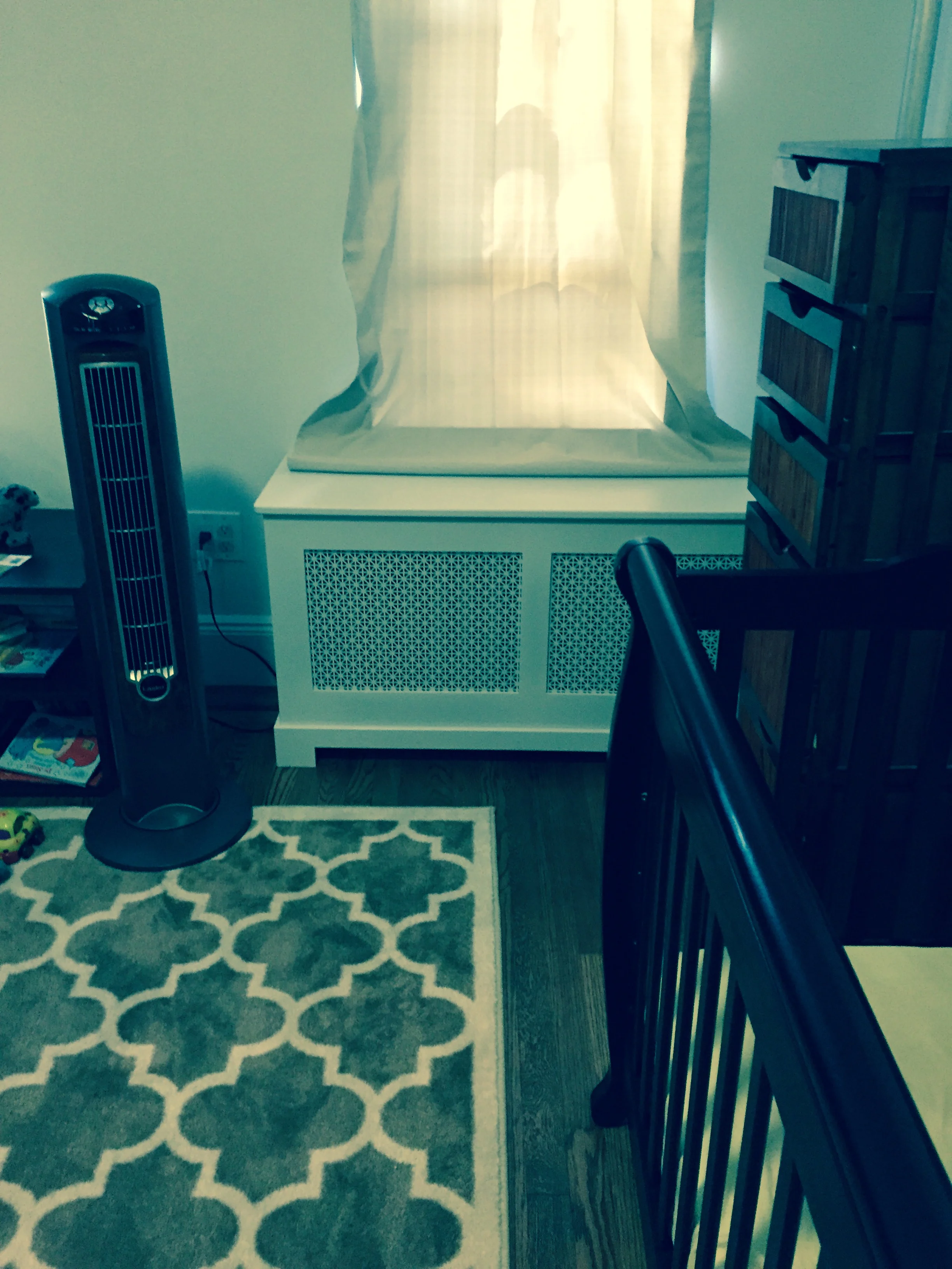 CS Radiator Cover.1.JPG