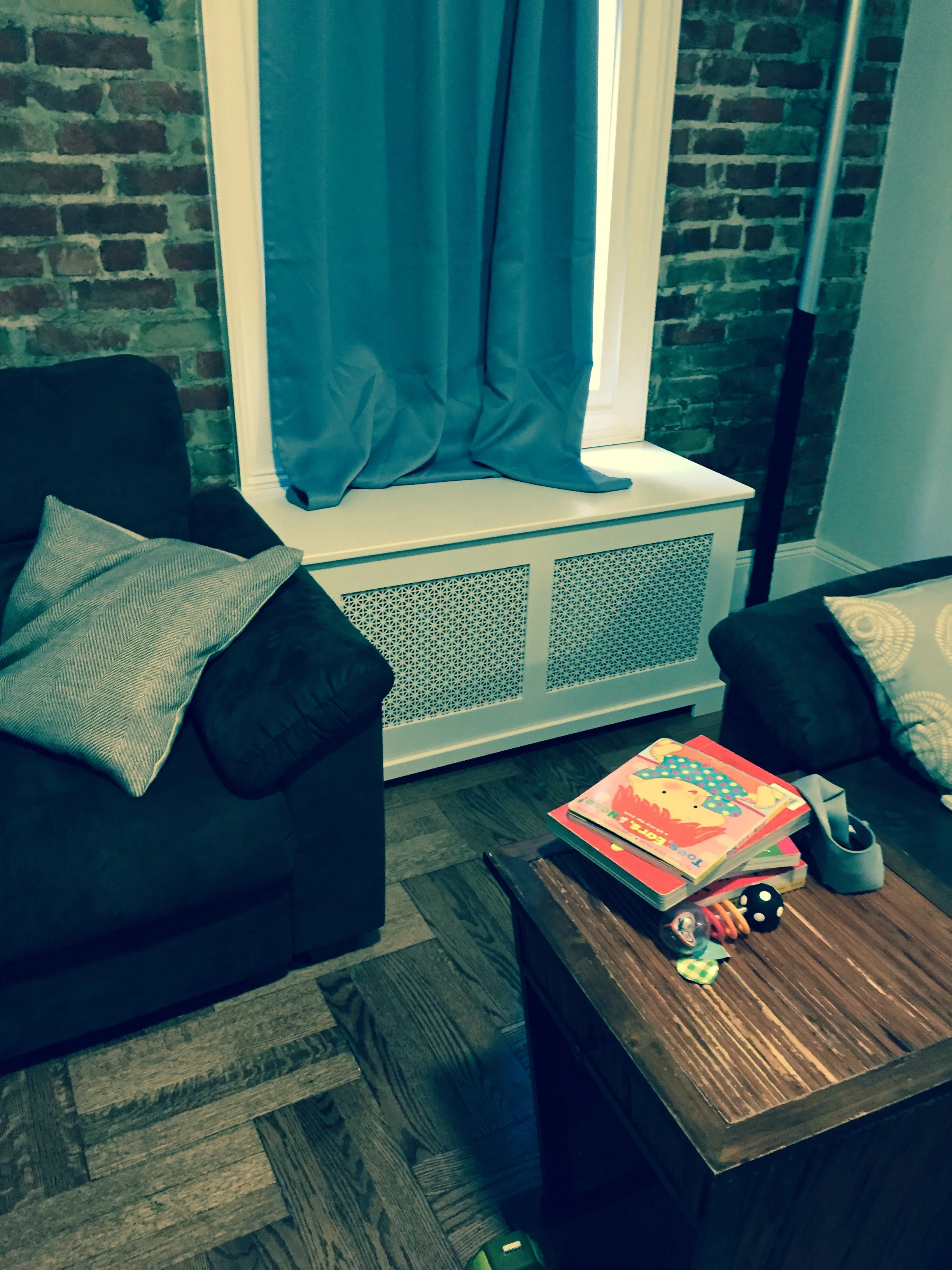 CS Radiator Cover.2.JPG