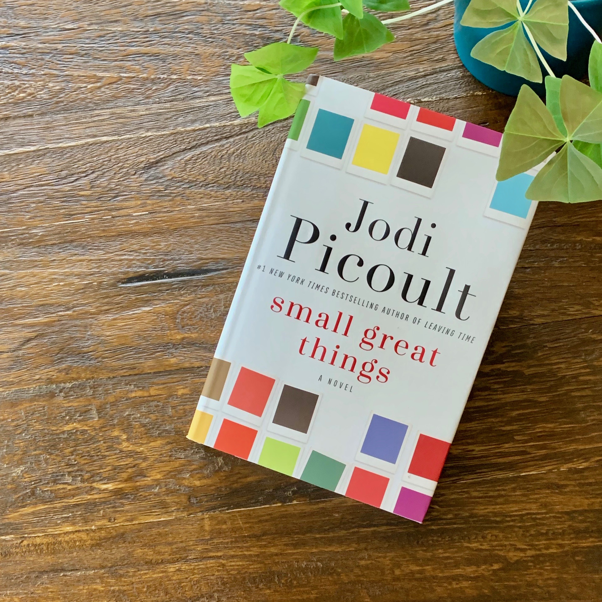 A Must Read Small Great Things By Jodi Picoult Nicole Dwigans