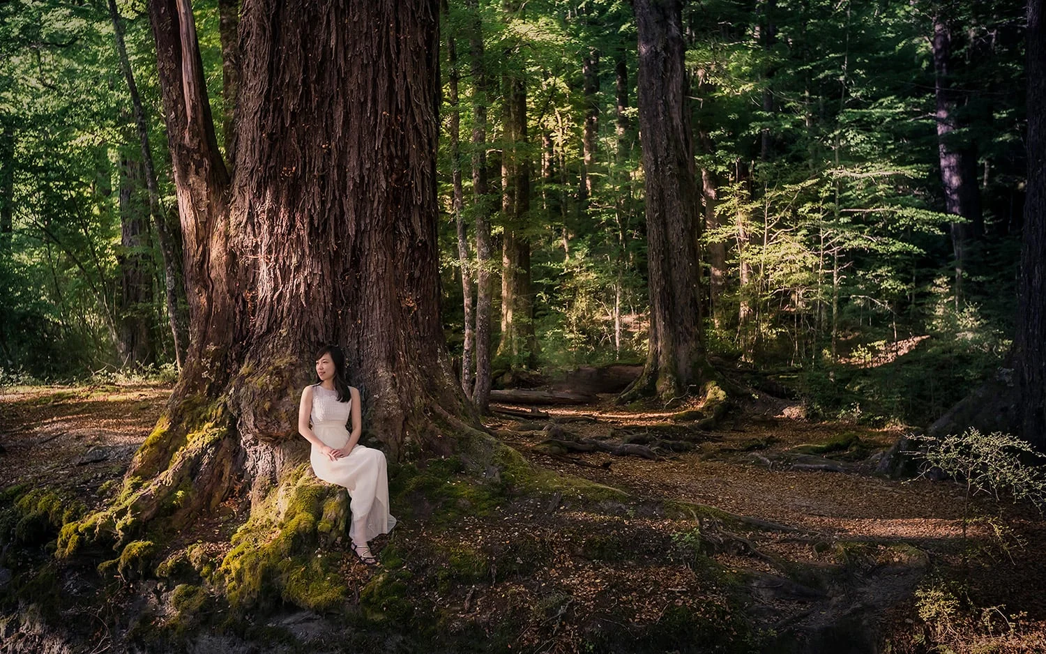 2019-05-VanChee-Photography-Our-Journey-New-Zealand.jpg