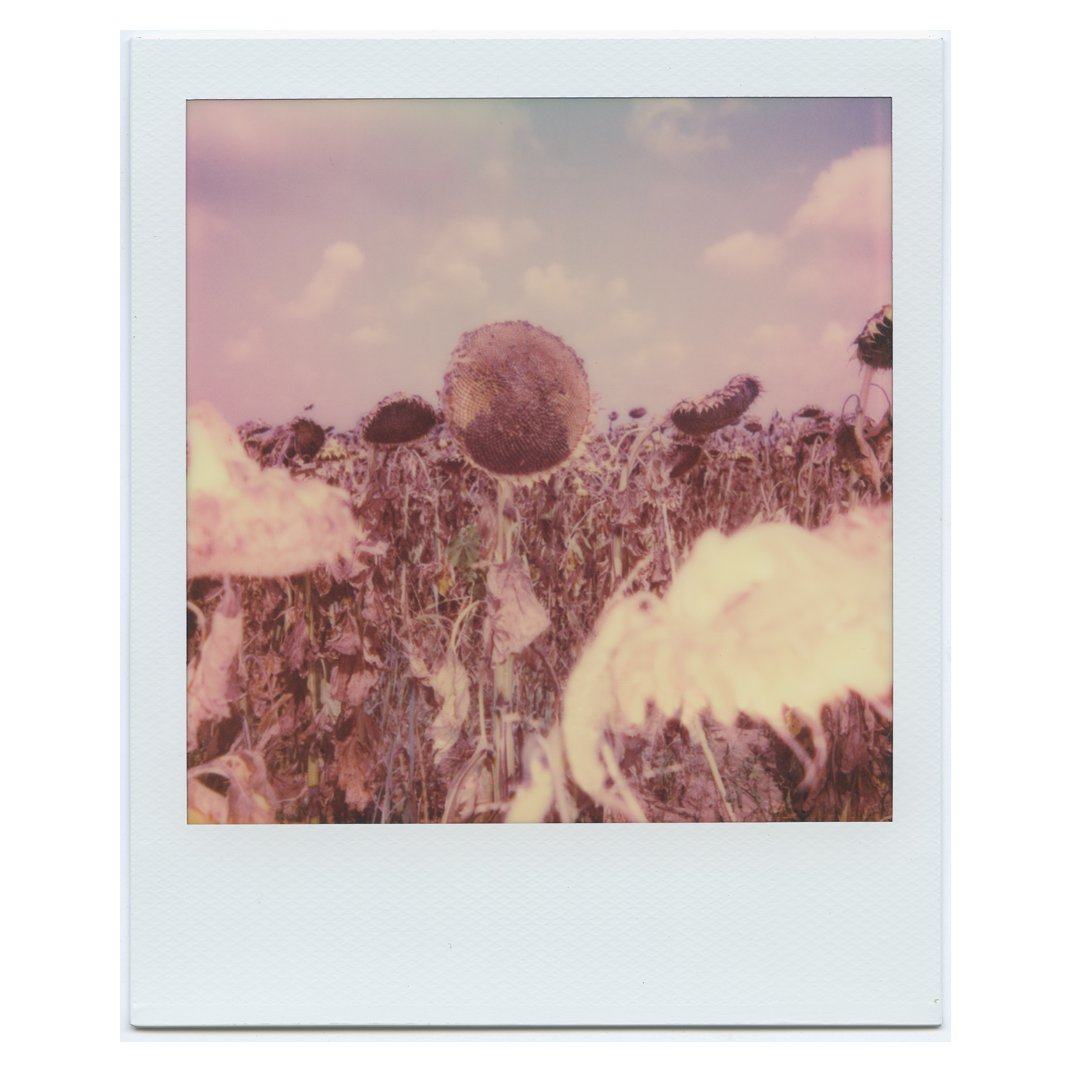 #0011 - Italy, 2018