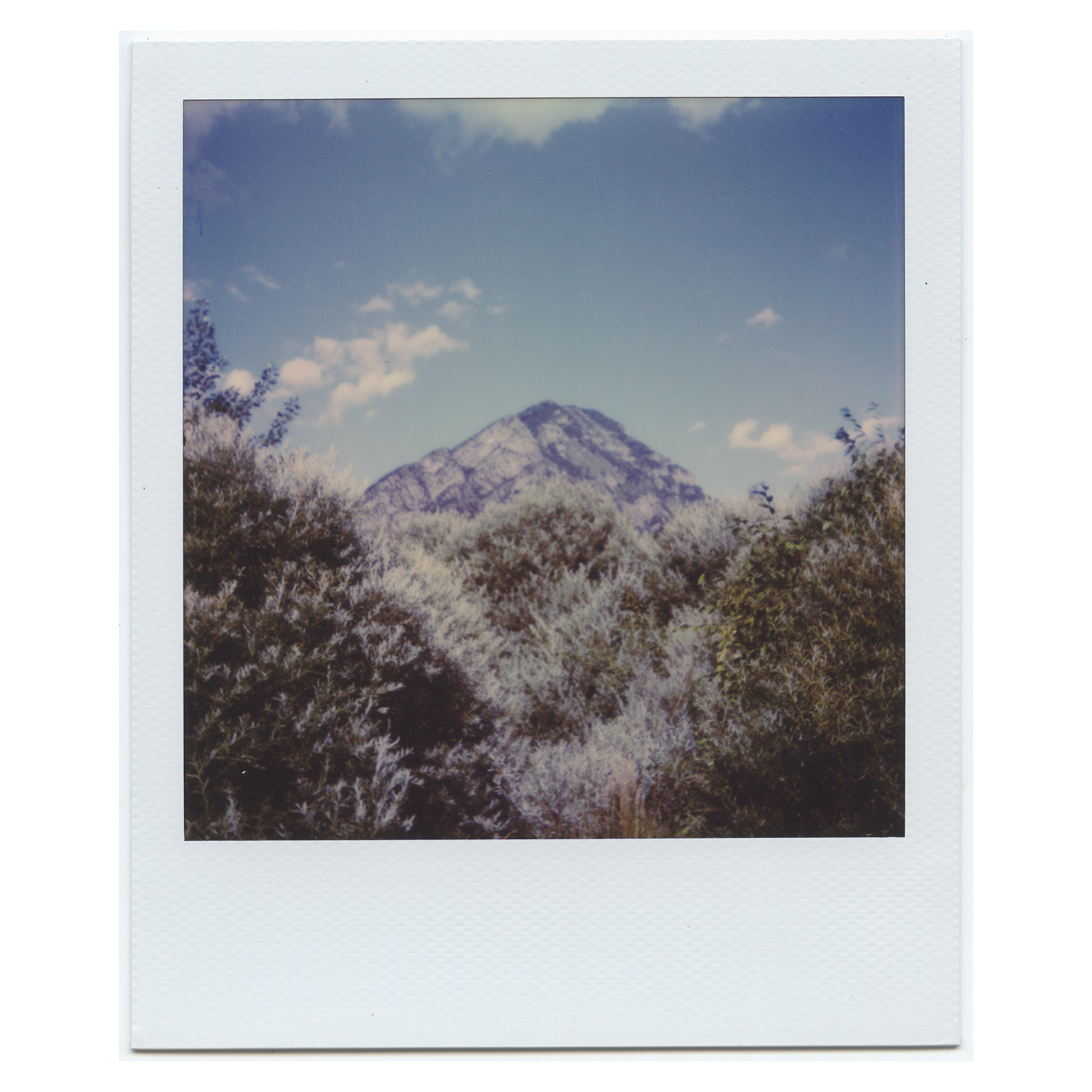 #0012 - Italy, 2018