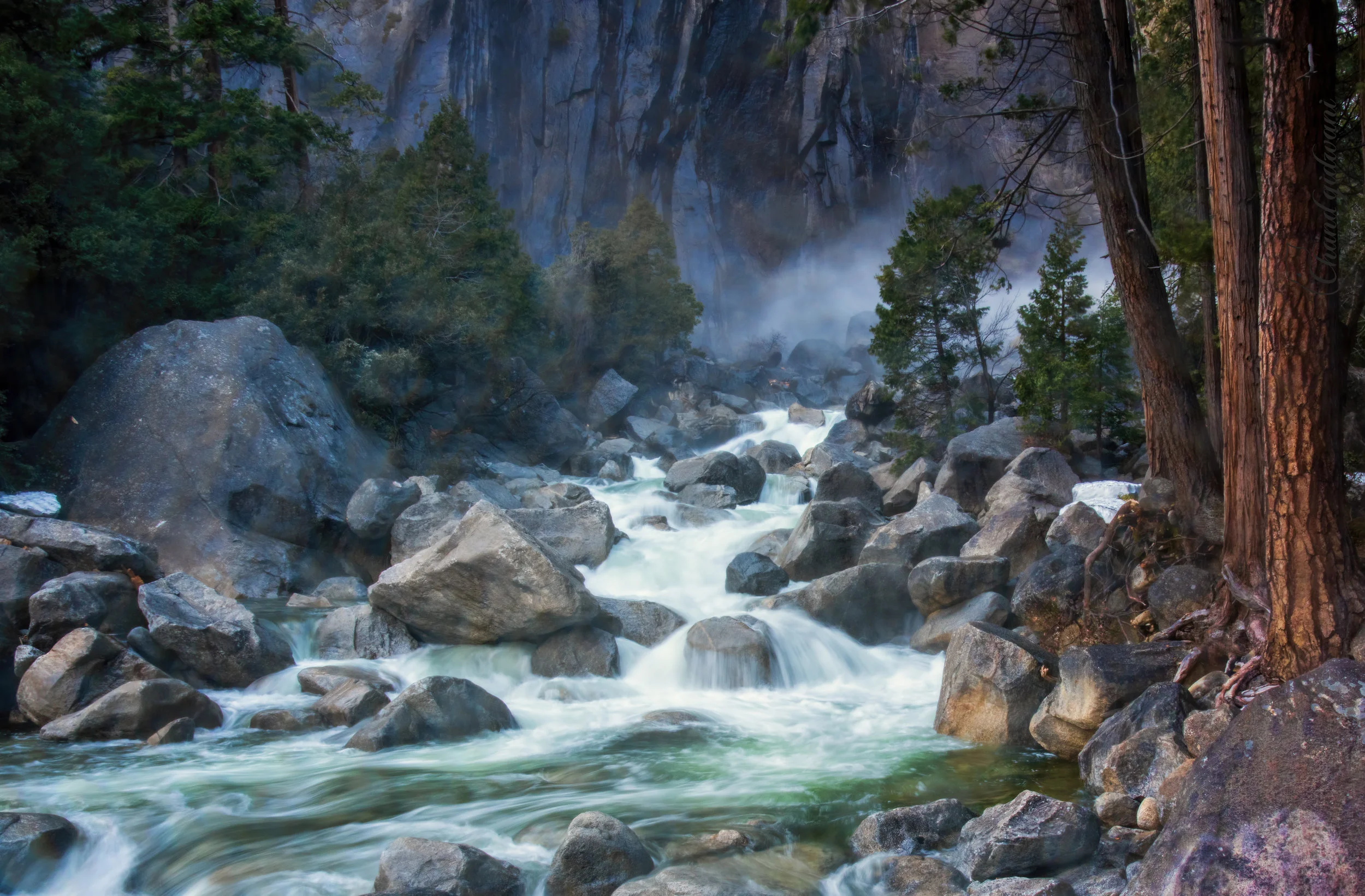 Yosemite (1 of 1)-1.jpg