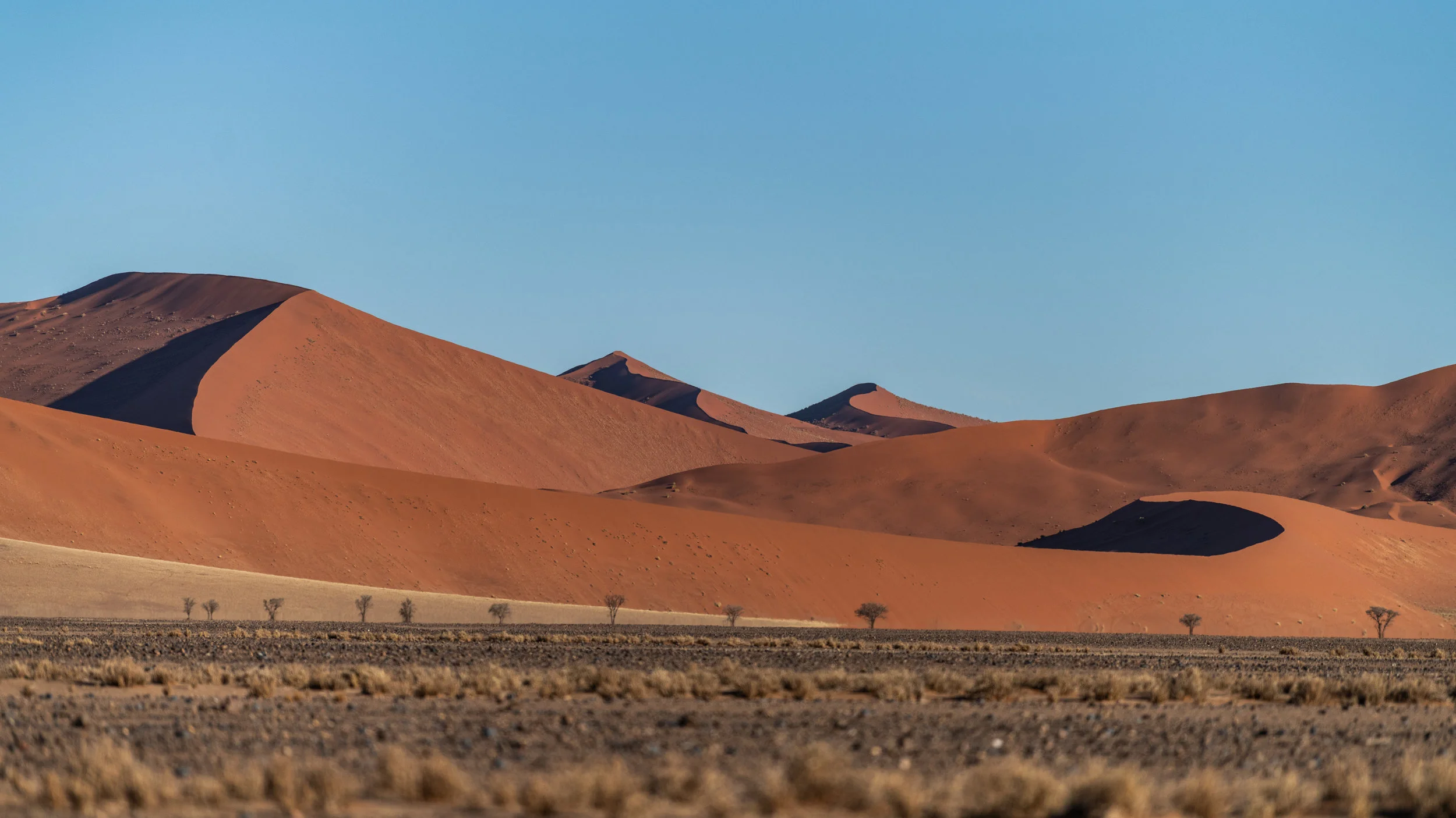 dunes from the ground (1 of 1).jpg