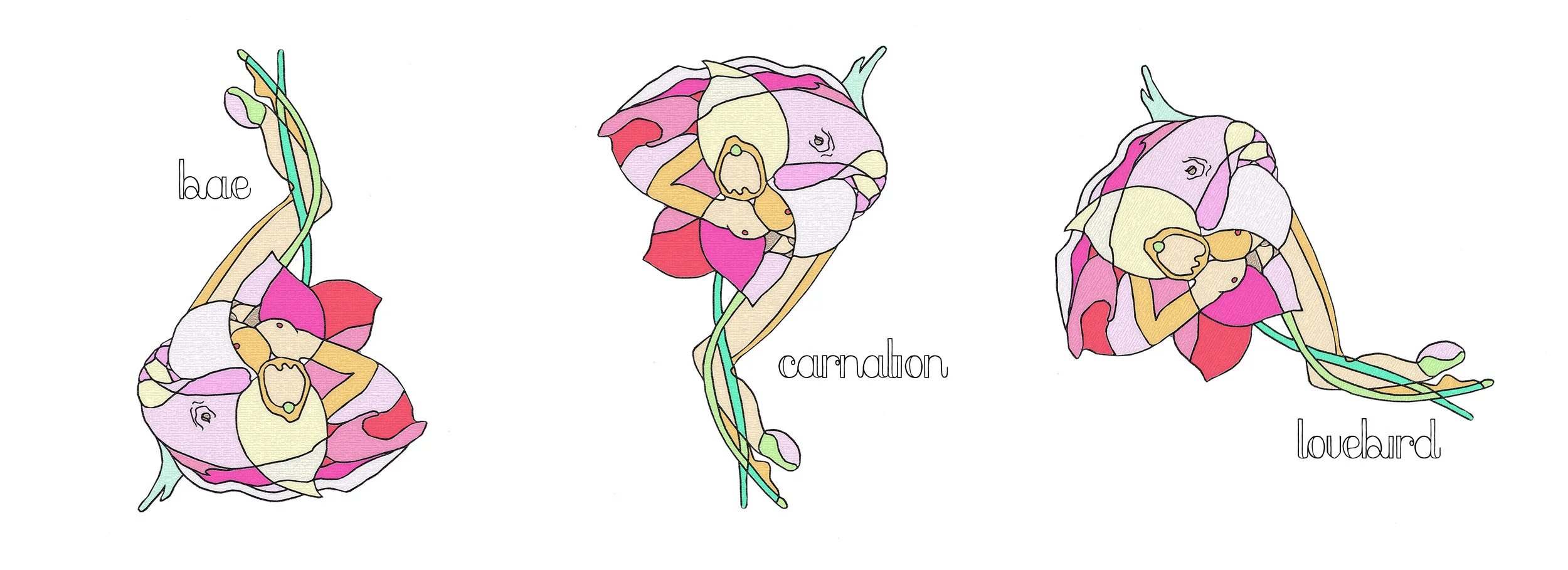 flowerx3.jpg