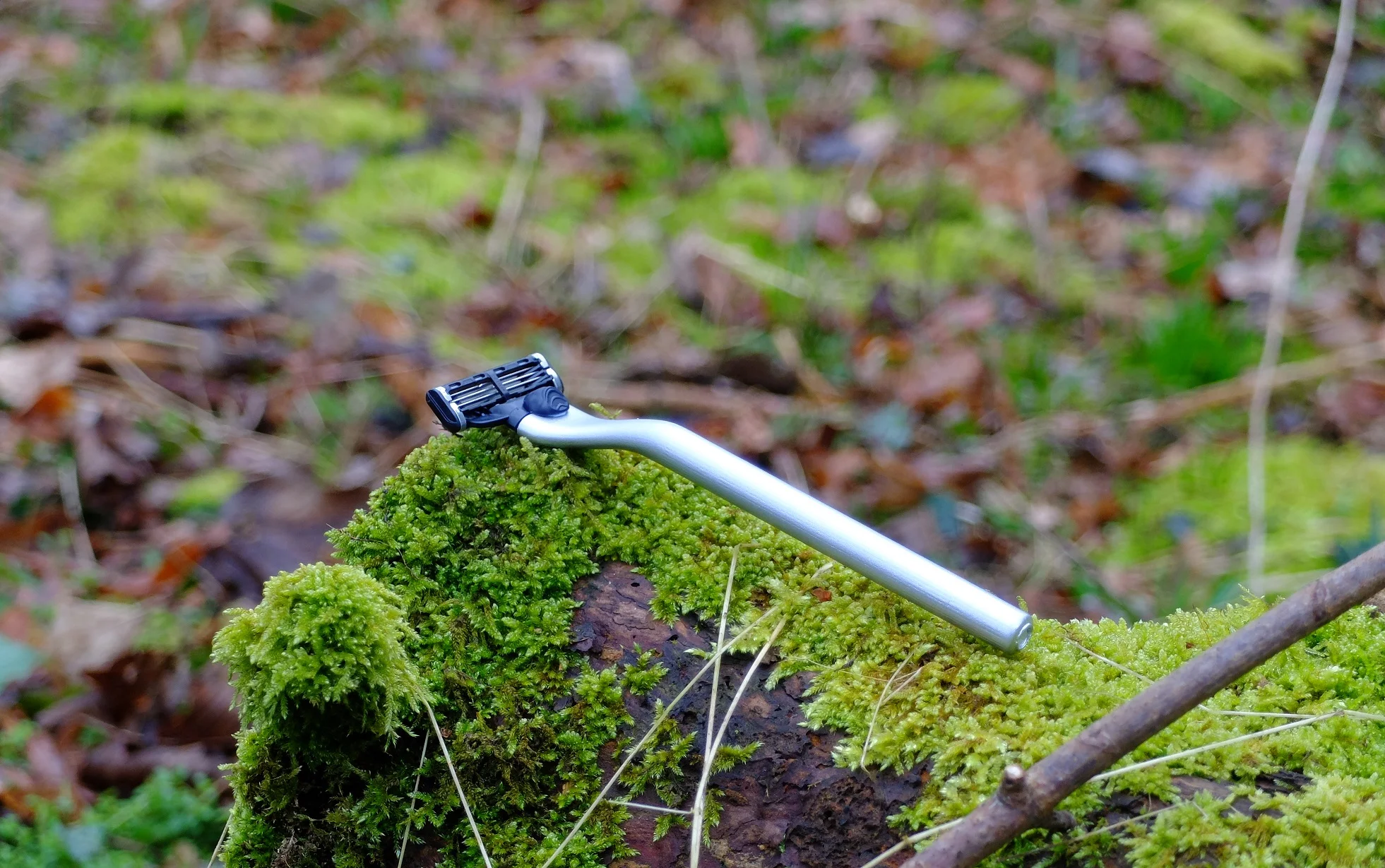 The Ockham Razor in its natural habitat