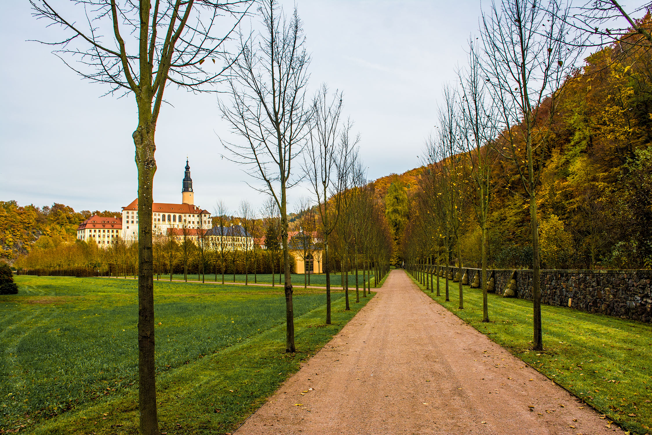 Dresden-glasshutte.jpg