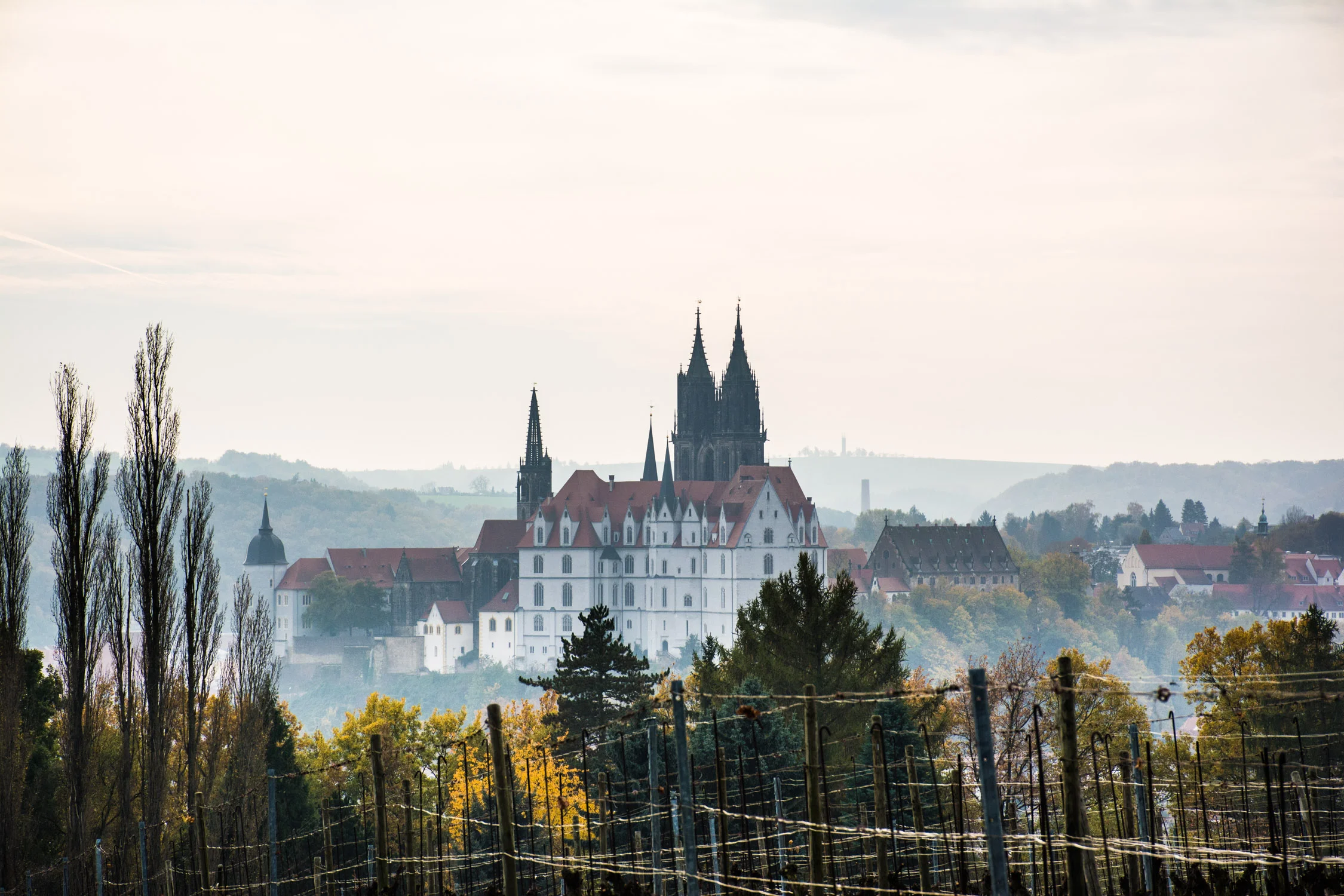 Visiting the Schloss Proschwitz Winery in Meissen, Germany