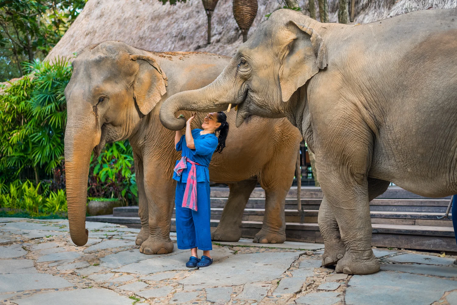Four Seasons Tented Camp Golden Triangle | Foto: Divulgação
