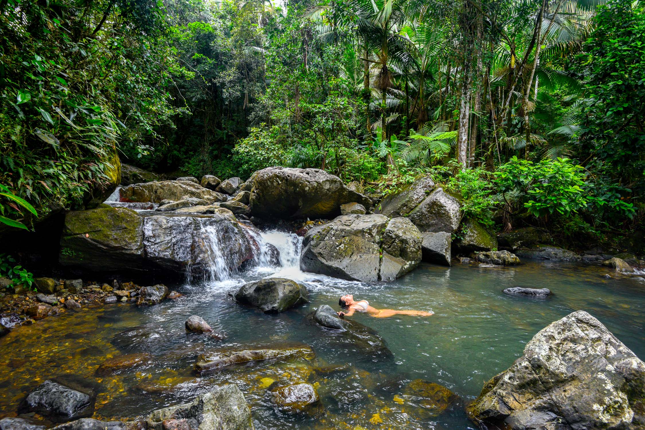 el yunque rainforest tours from san juan