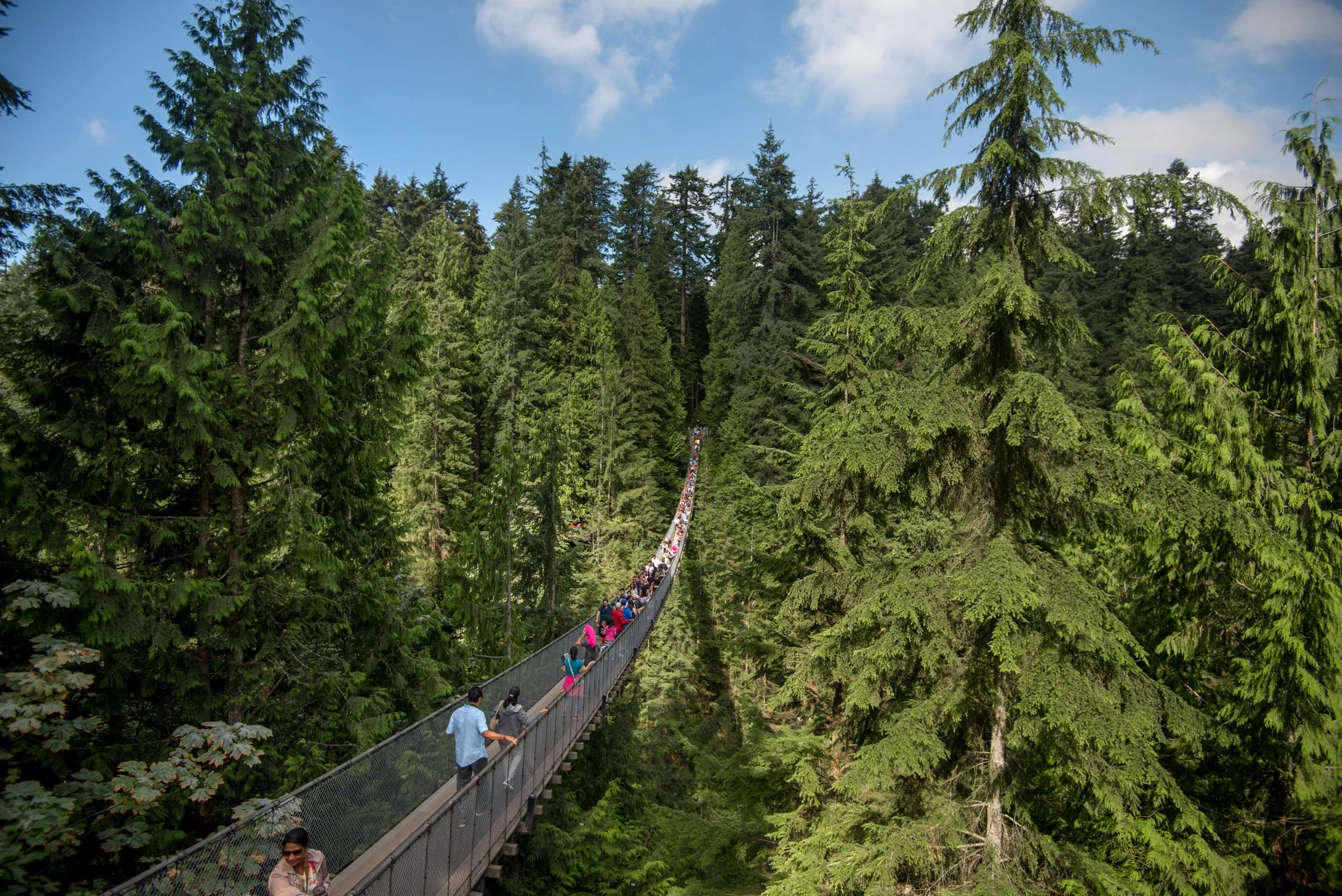 Vancouver’s Capilano Suspension Bridge Park – A Treetop Adventure