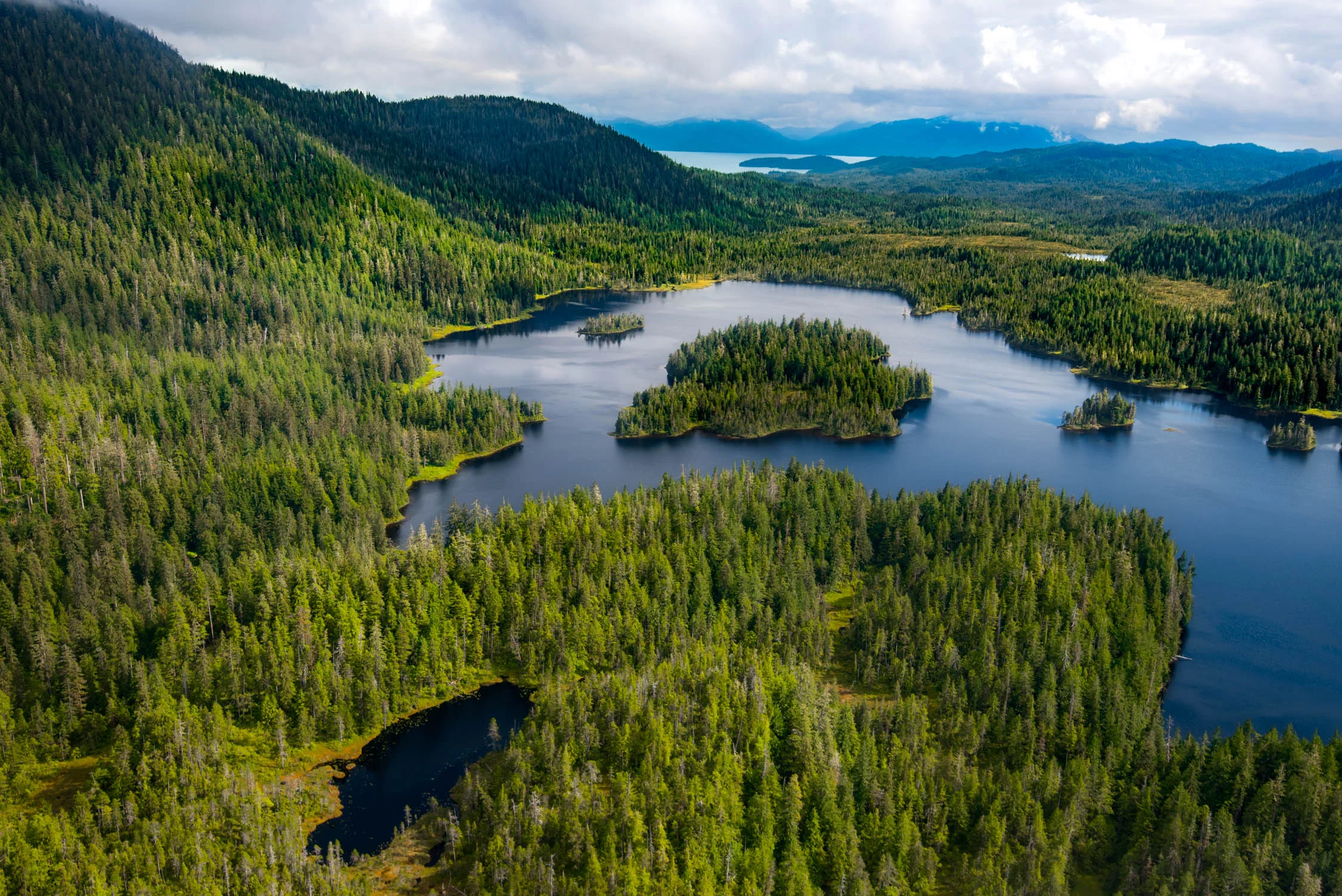 Seaplane views of the Misty Fjords, in Alaska aboard Crystal Cruises