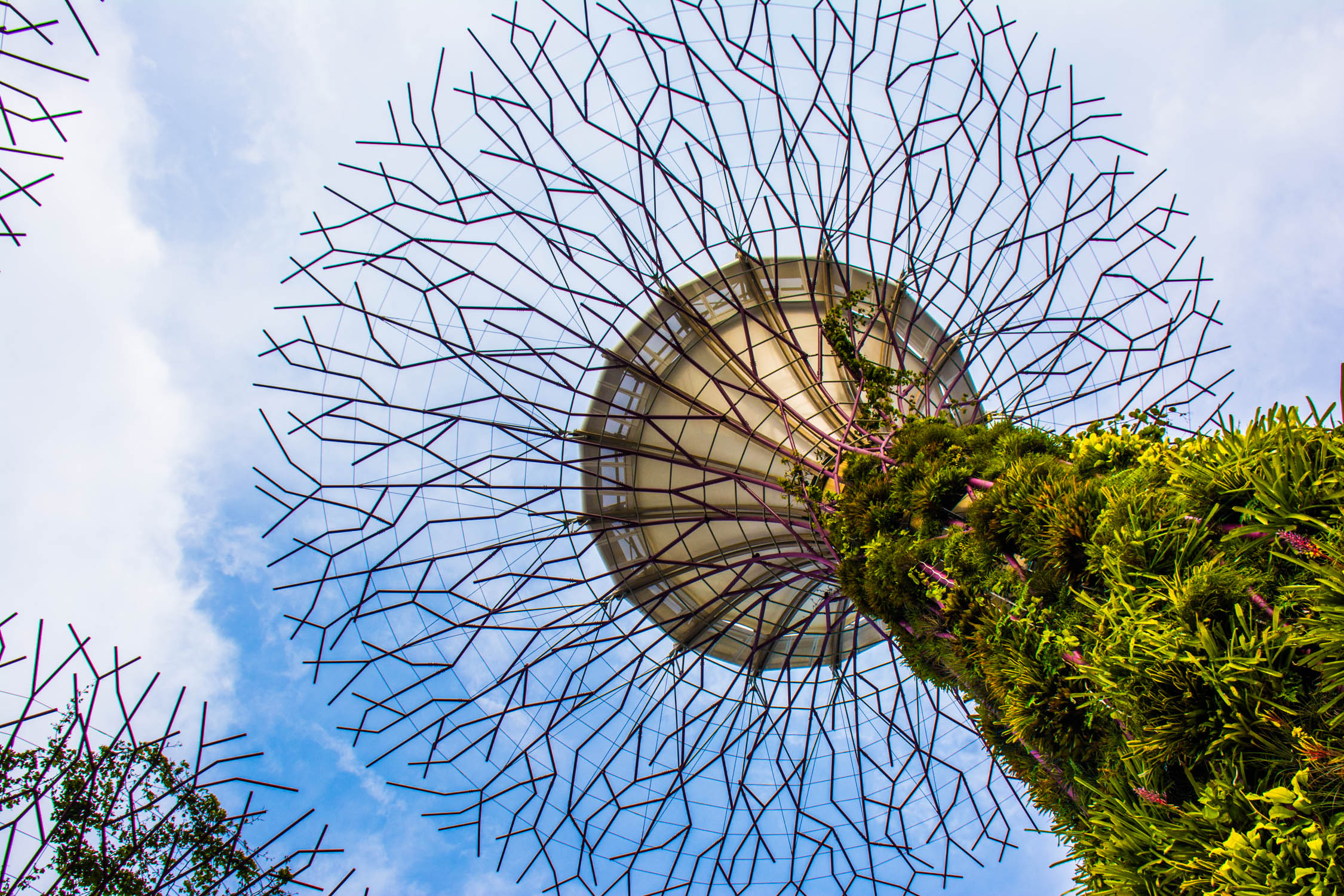 Garden By The Bay Open Hours