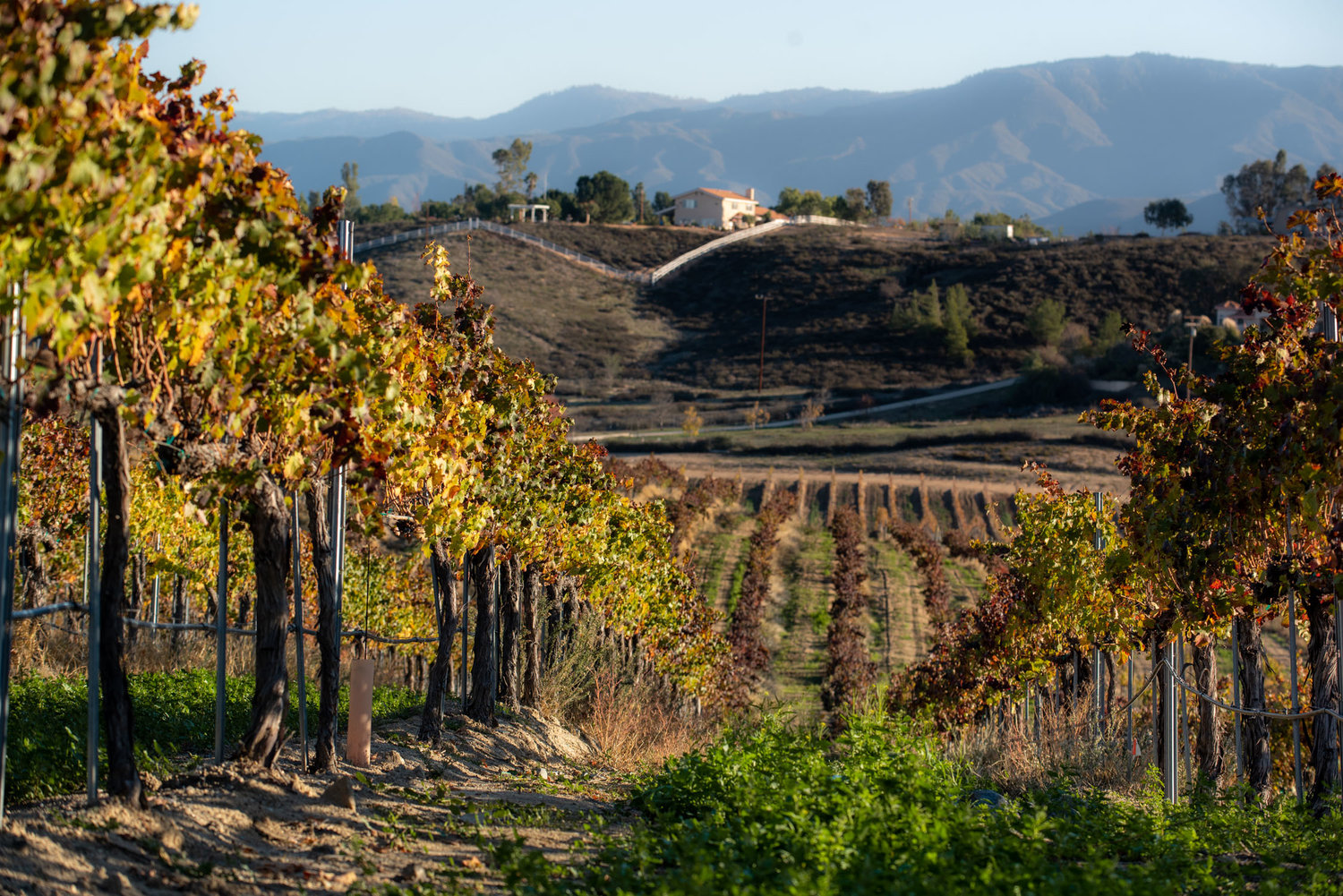 Plan A Trip or Vacation To Temecula Wine Country