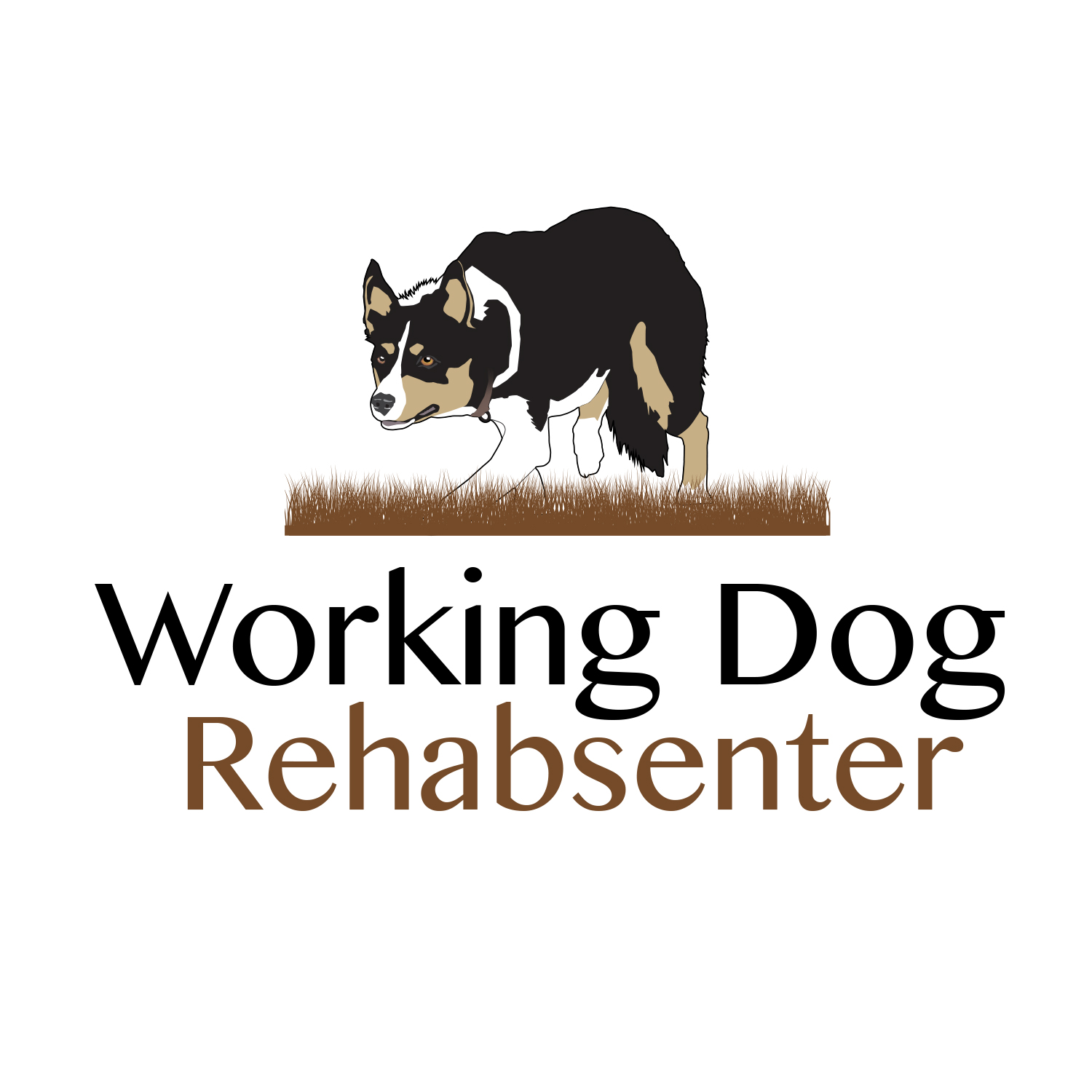 logo-logodesign-design-workingdog-rehabsenter.jpg