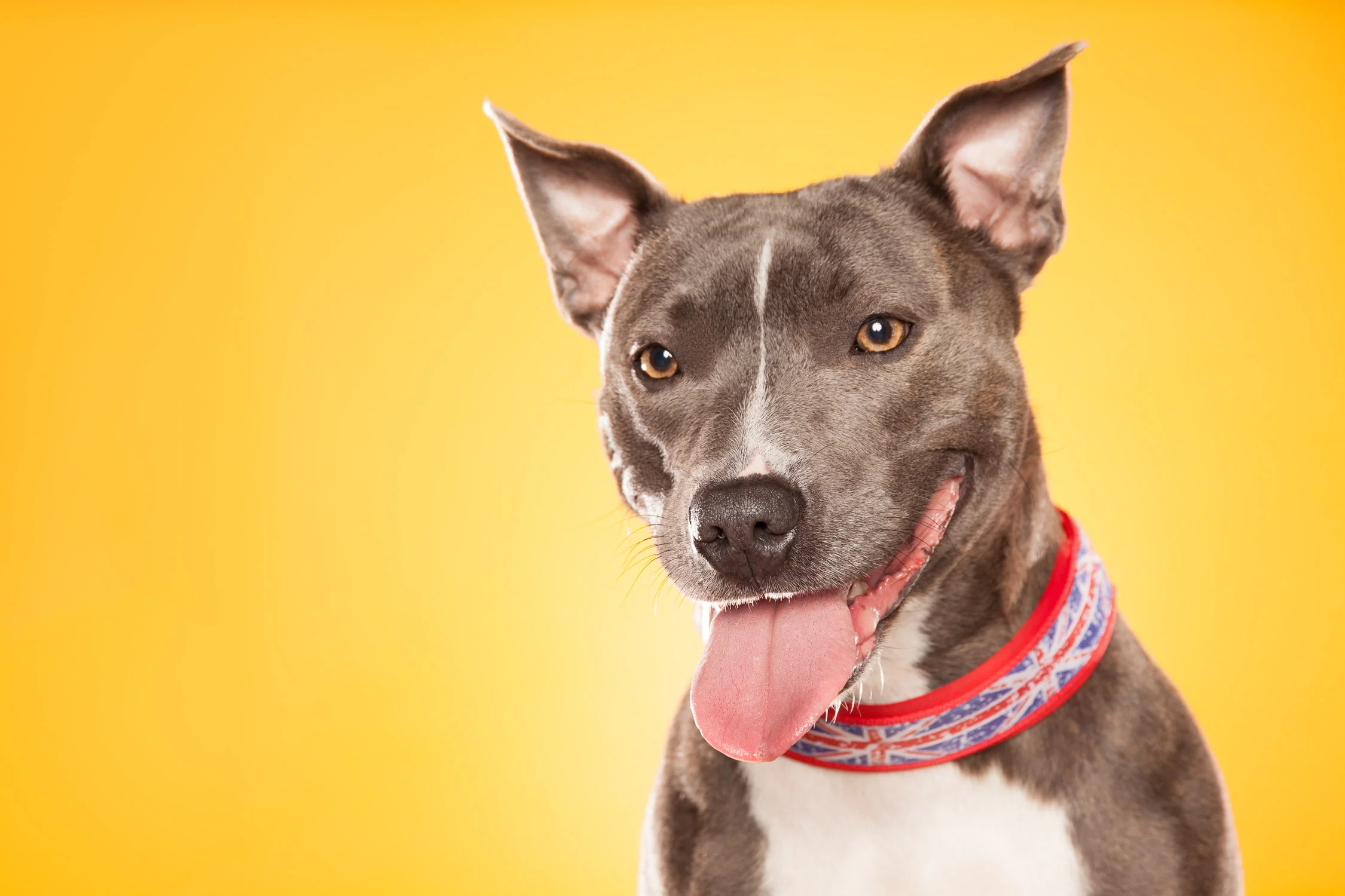 Et år har gått og et nytt er på vei.