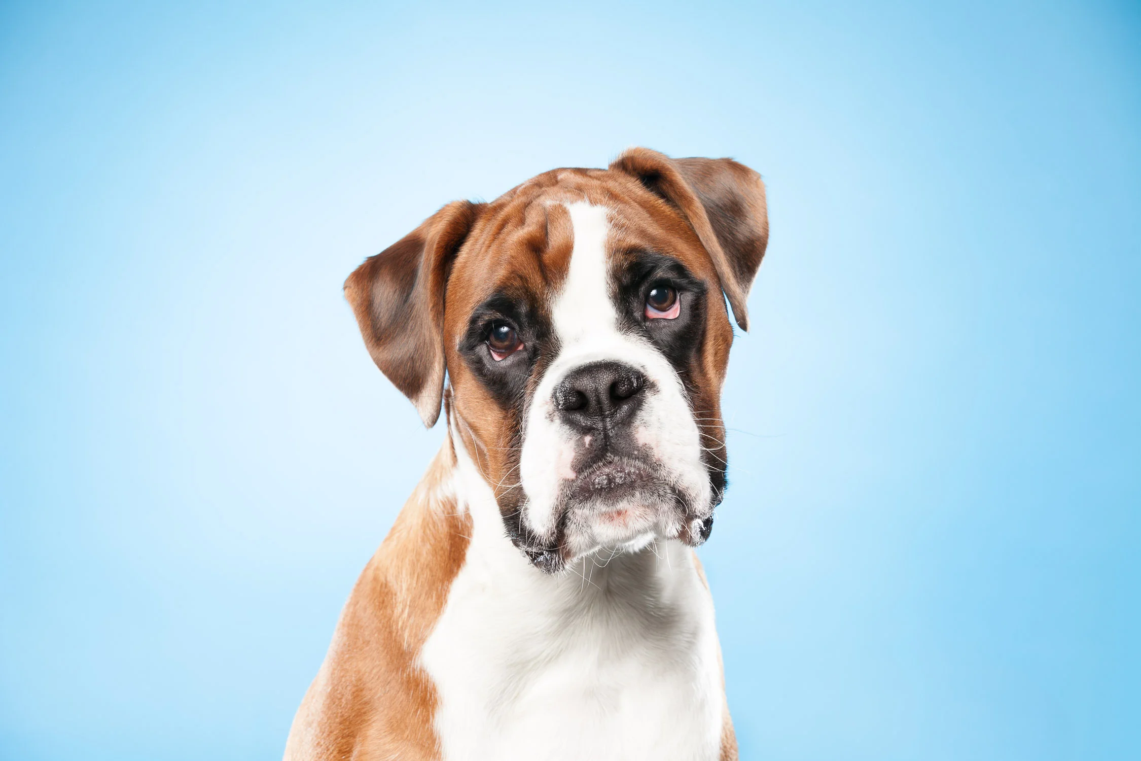 Mini fotograferinger 18 og 19 juni