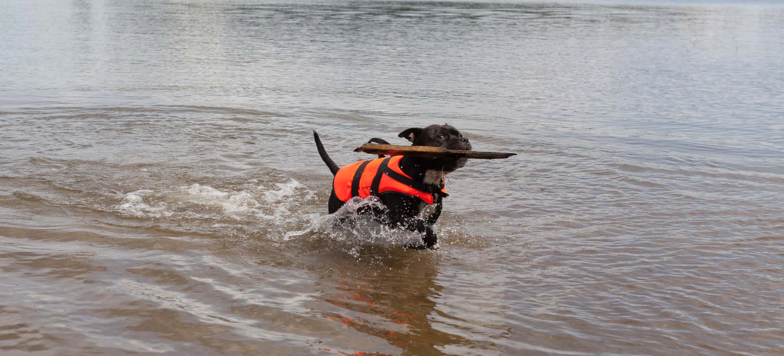 Sommerstengt 29 juni - 12 juli