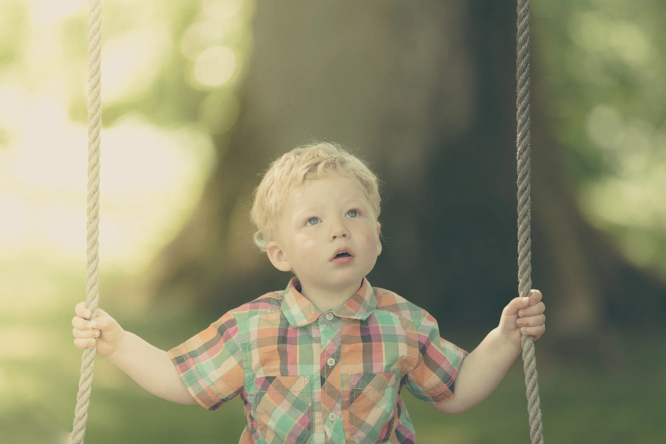 Fotografering med Leo i parken