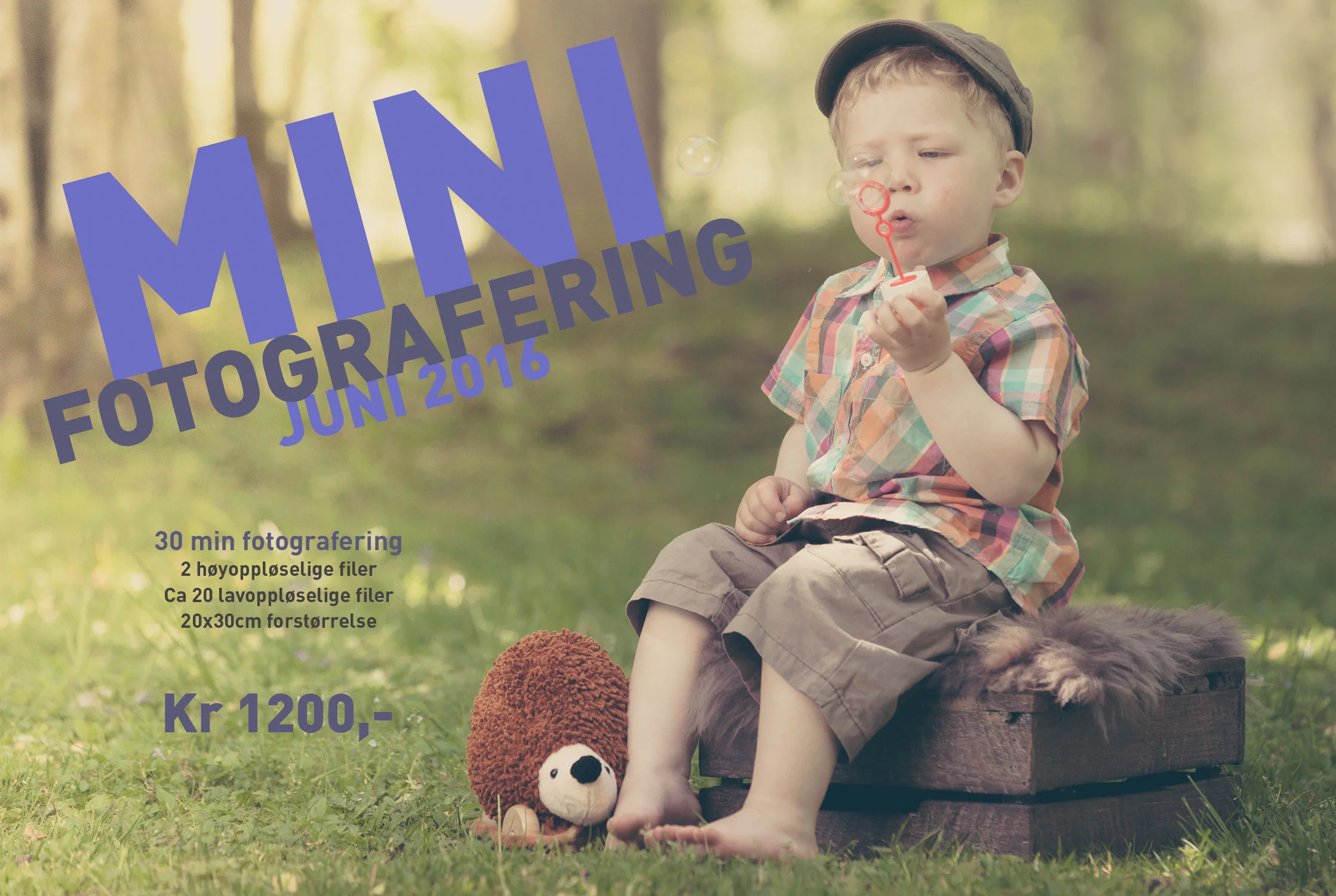 Minifotografering - Utendørs eller i studio hele juni