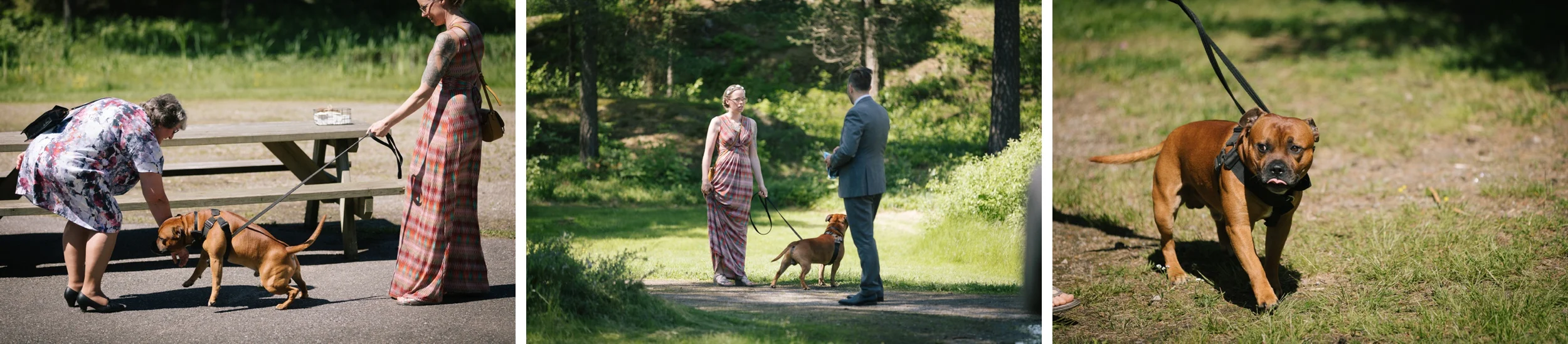 bryllup-bryllupsfotografering-bryllupsfotograf-sarpsborg-20170617-_H2A1785anneli_phillip_WEB.jpg