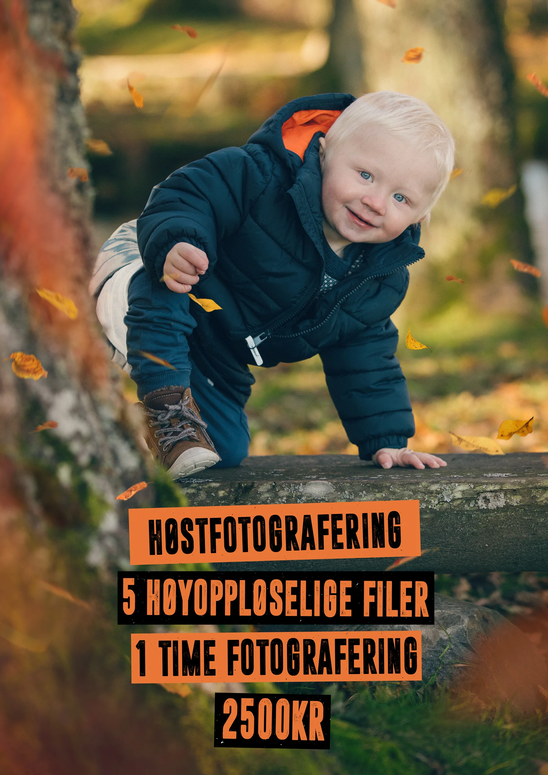 Høsttilbud.jpg