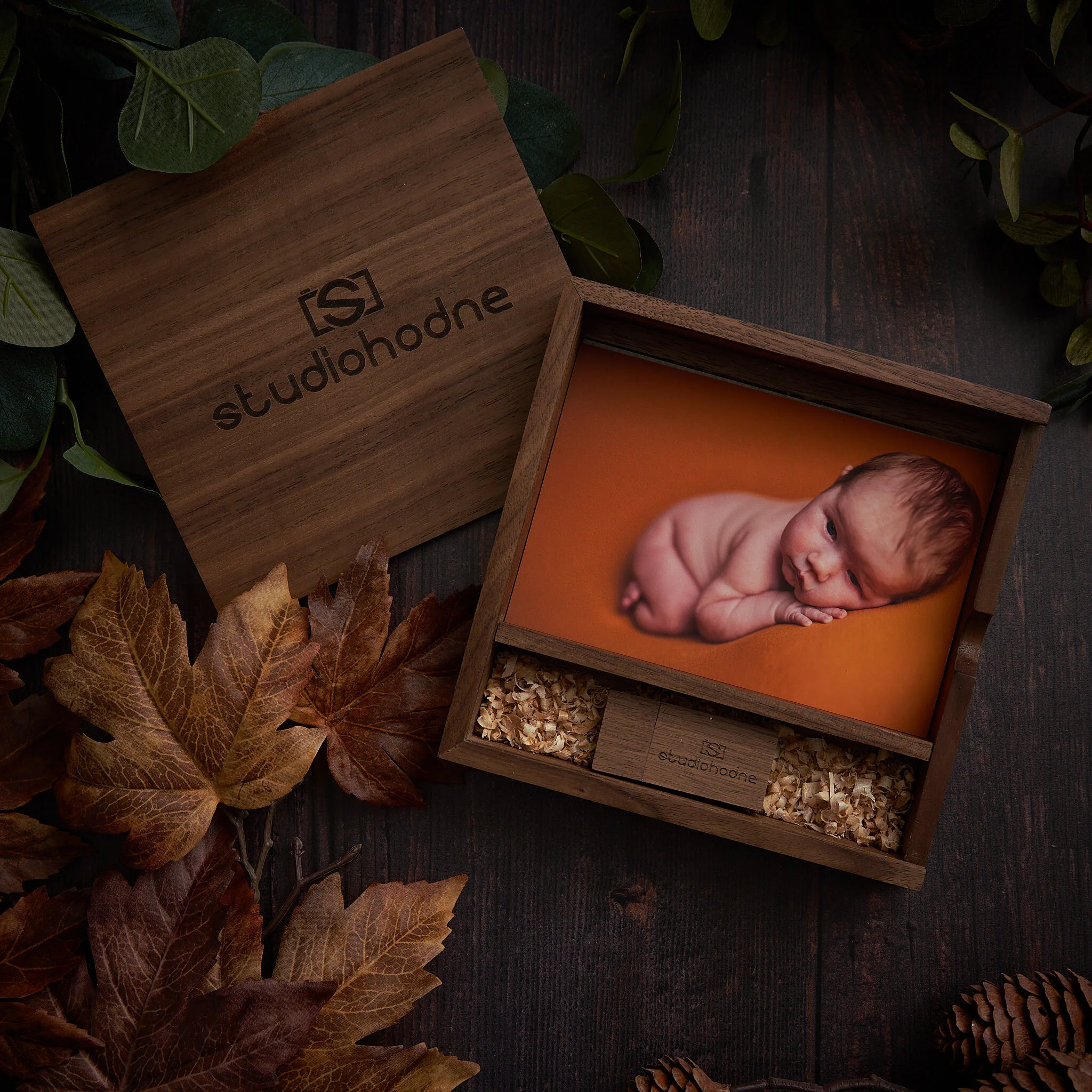 Minnepenn_DSC0264 1.JPG