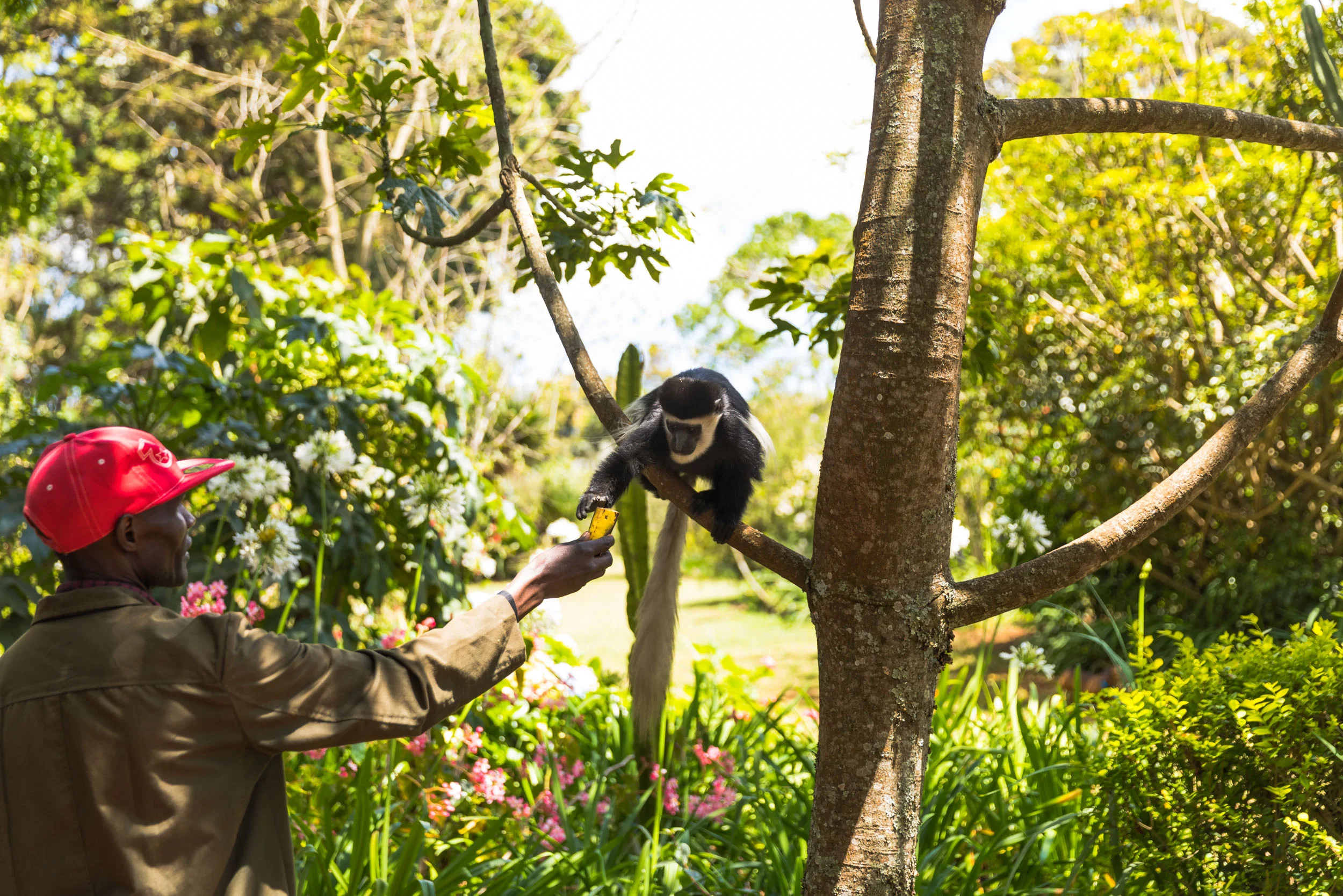 Kiambethu Tea Farm -107.jpg