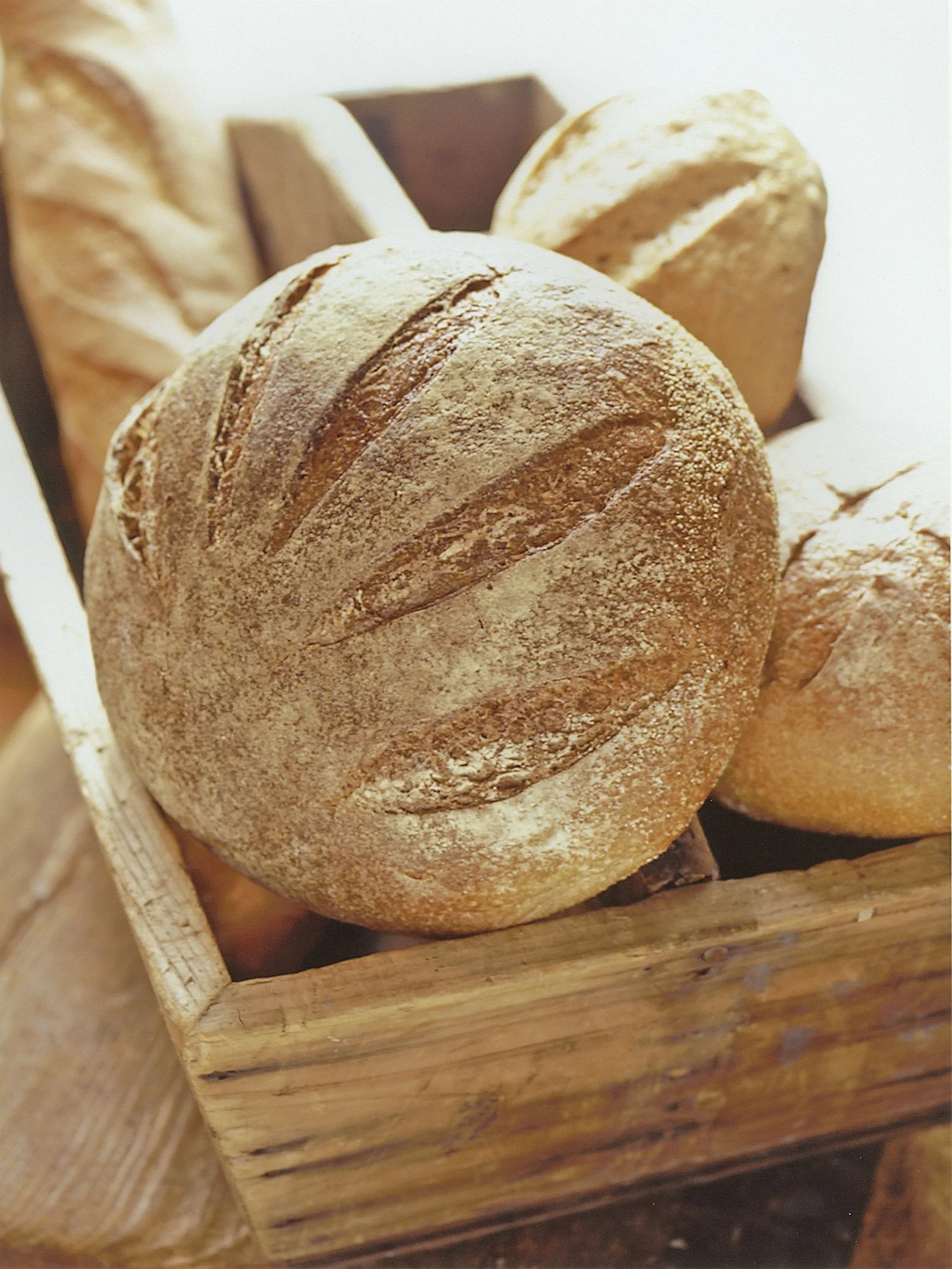 Bread.jpg