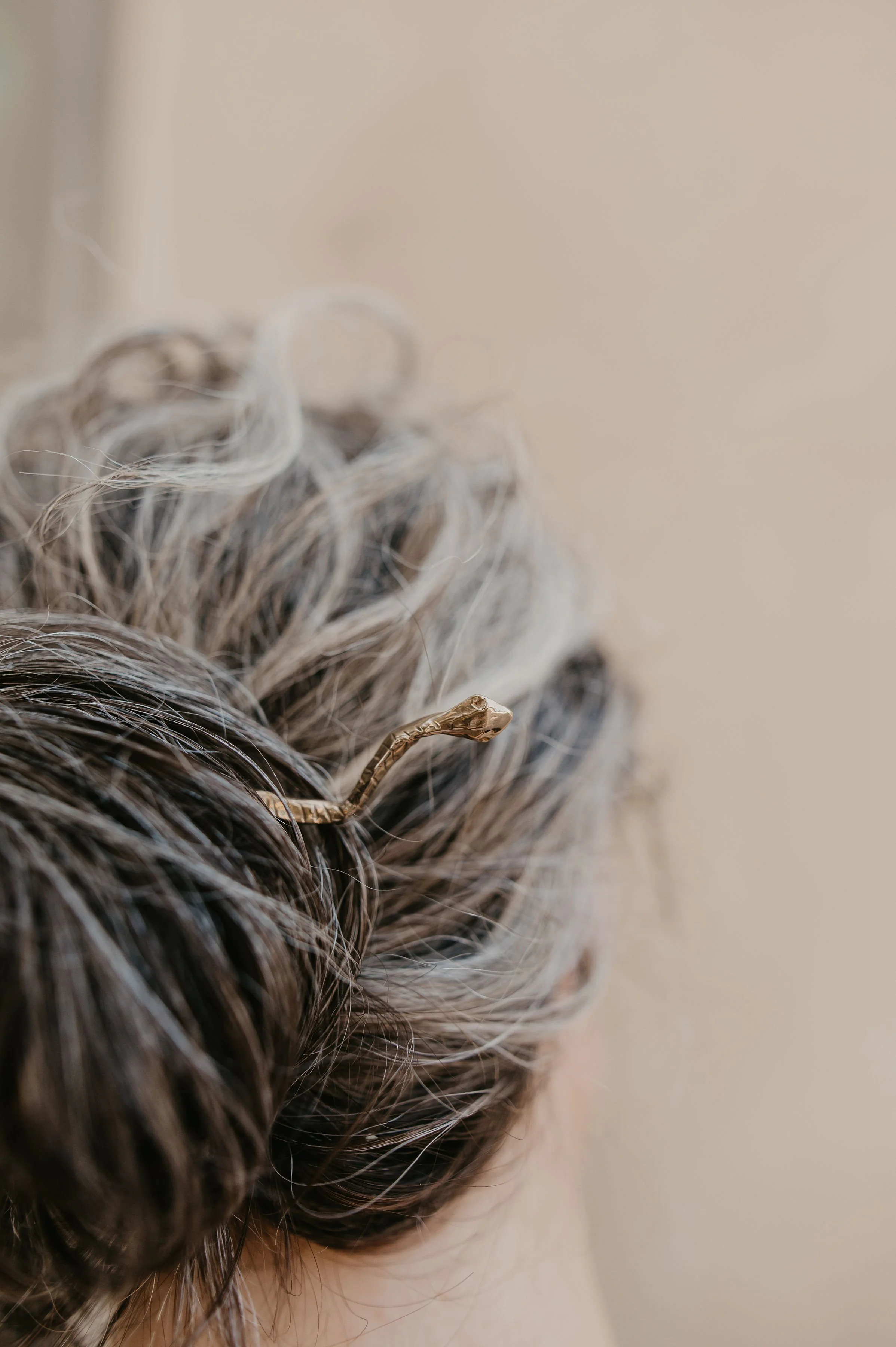 snake hairpin.jpg