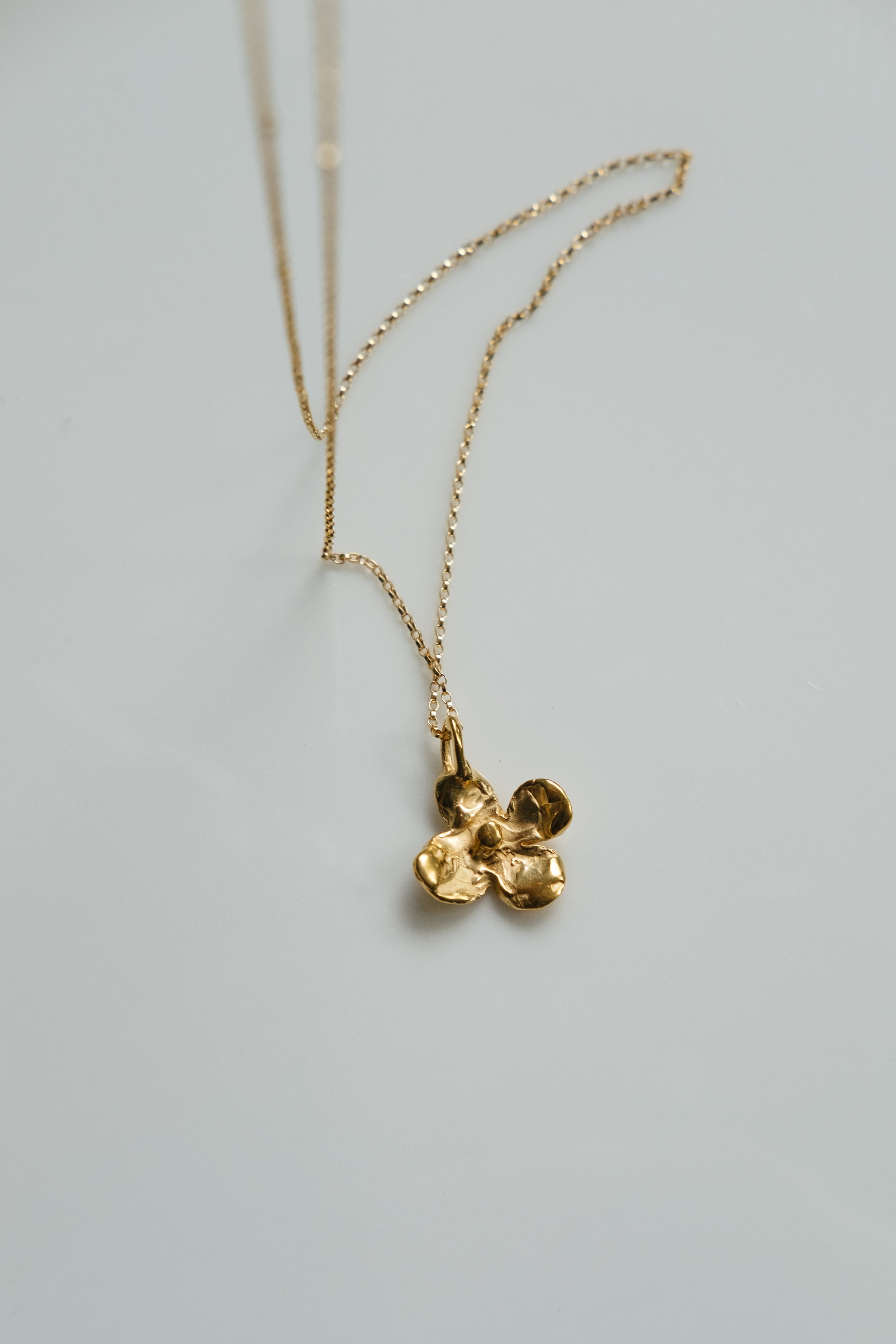 gold bloom.jpg